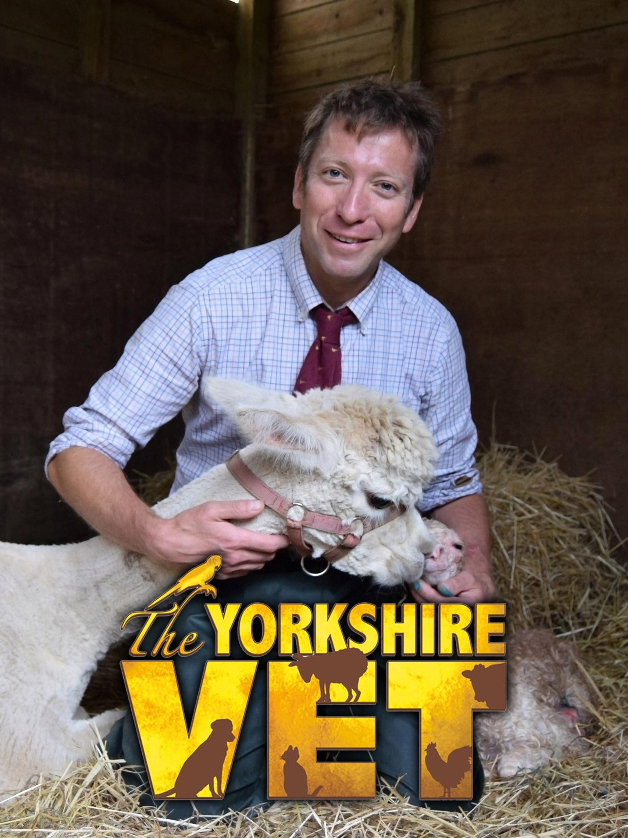 The Yorkshire Vet Season 3 Rotten Tomatoes   P13319364 B V13 Aa 