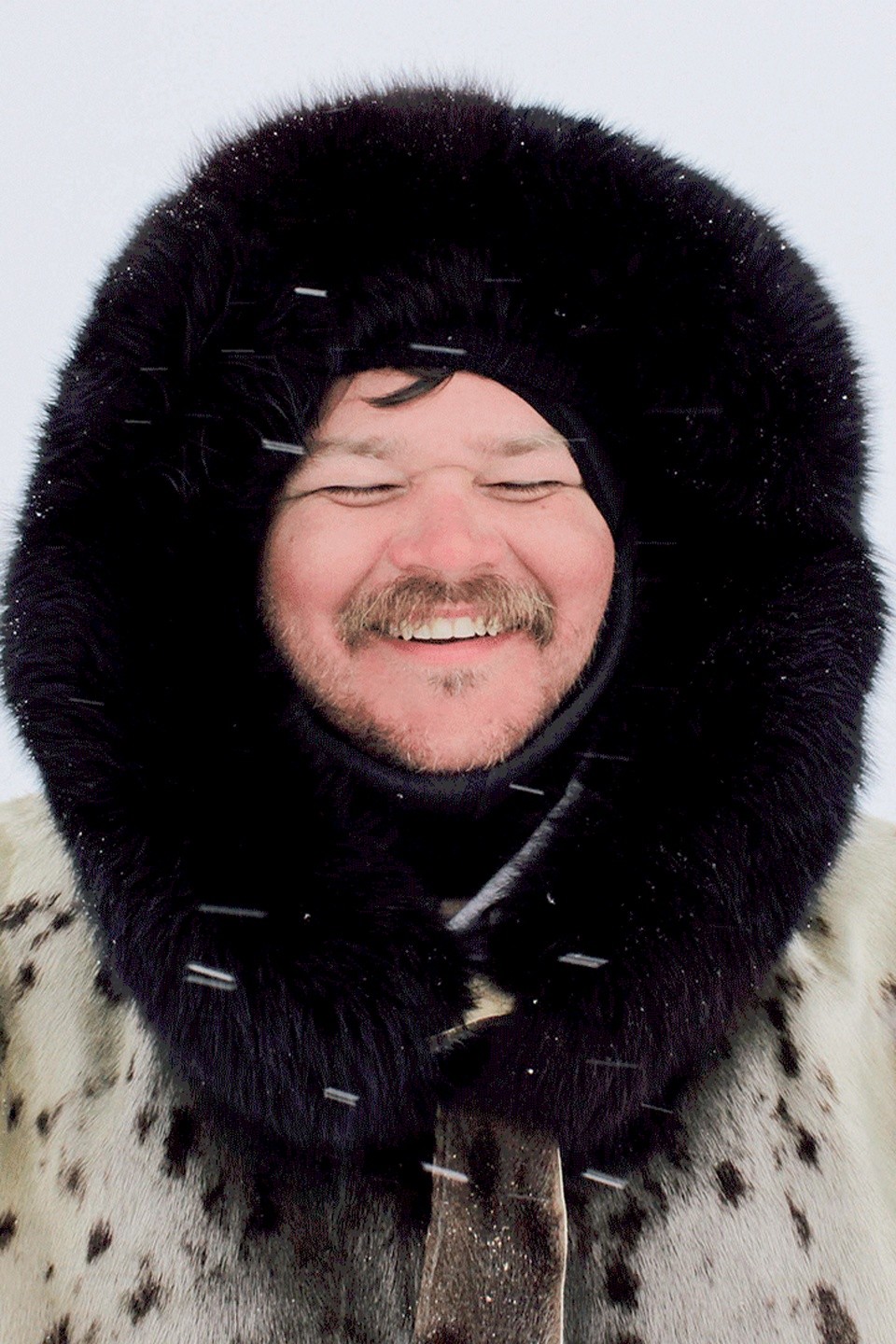 The High Cost of Arctic Living Pictures Rotten Tomatoes