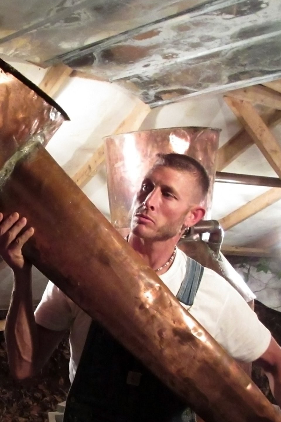 Whiskey Rebellion Pictures Rotten Tomatoes