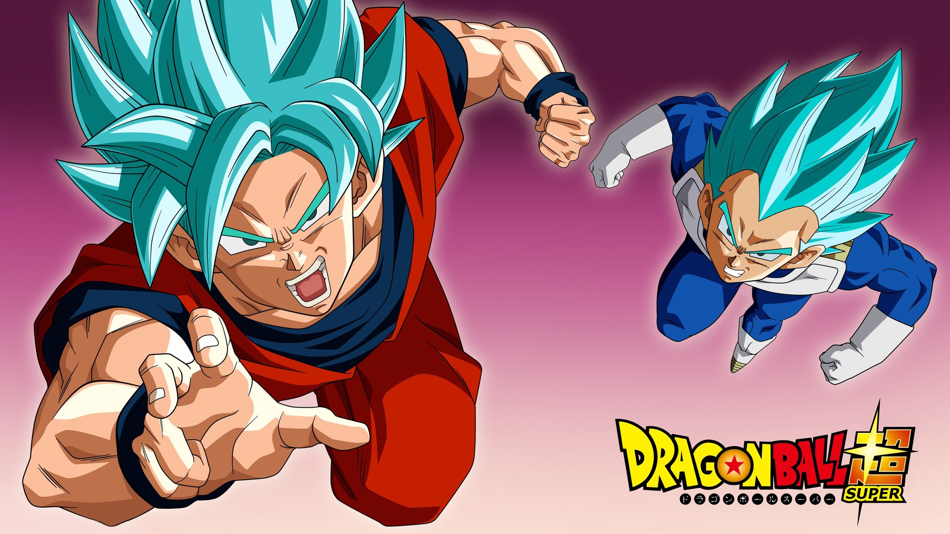 DRAGON BALL SUPER