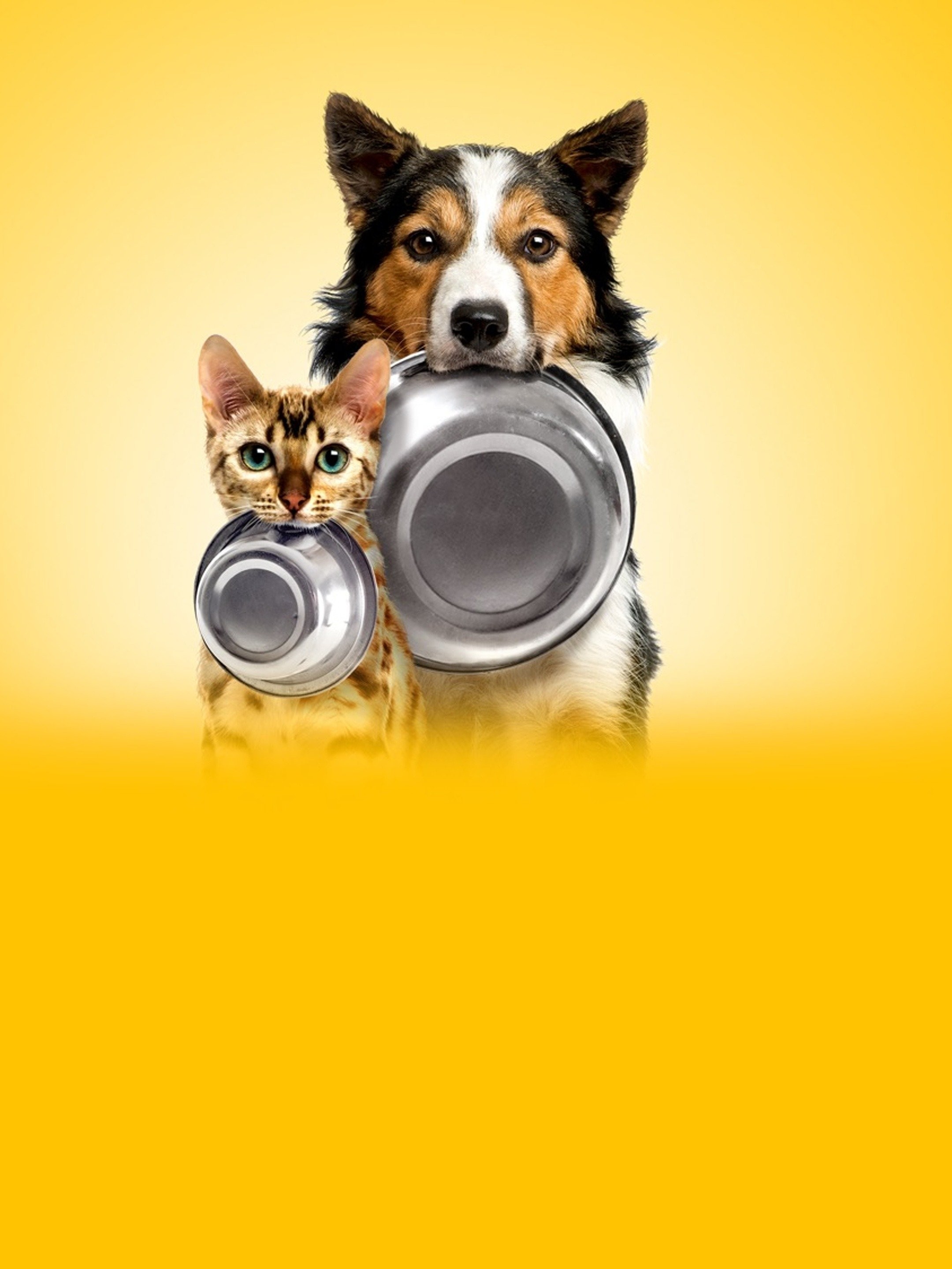 Pet fooled shop food list