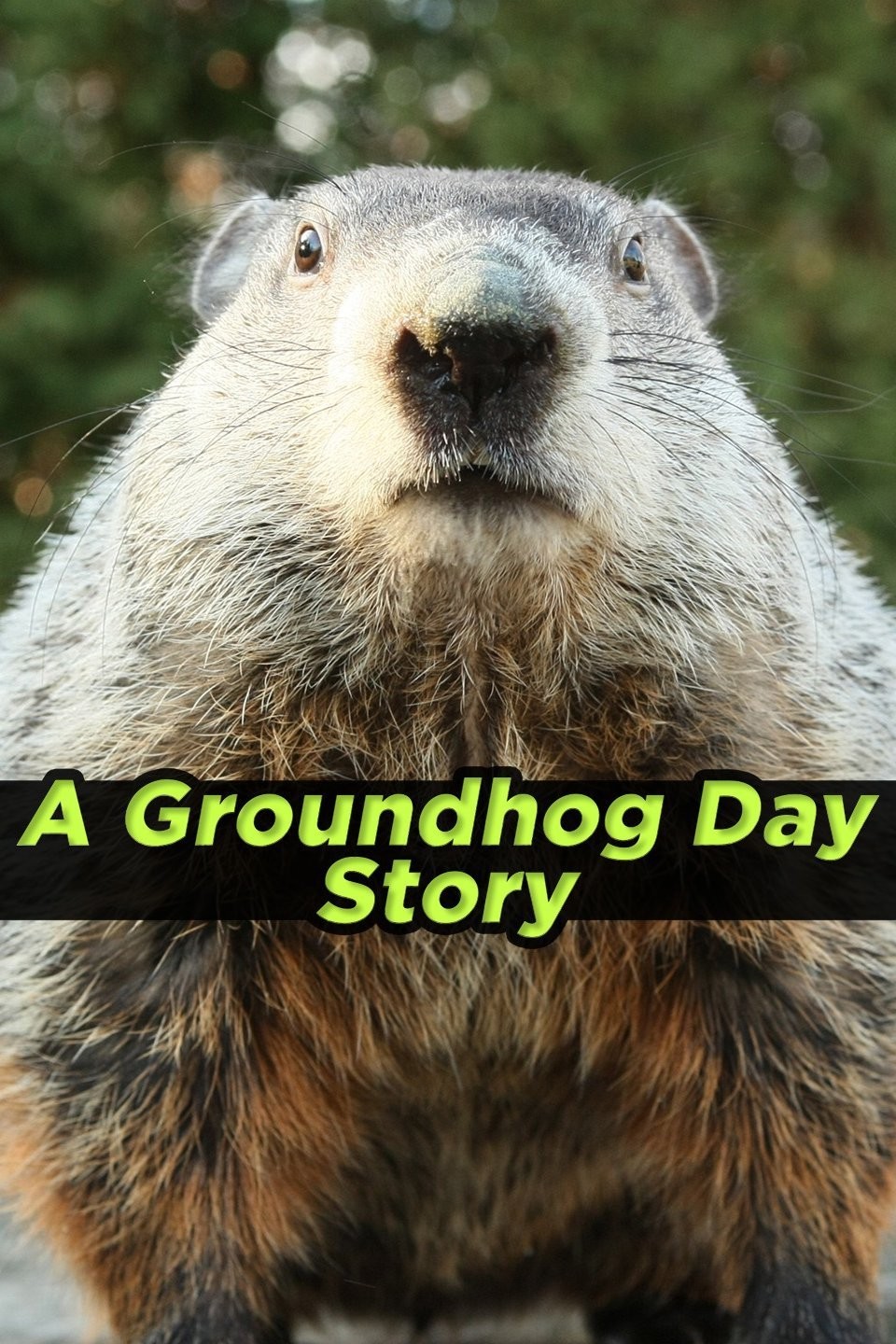 A Groundhog Day Story | Rotten Tomatoes