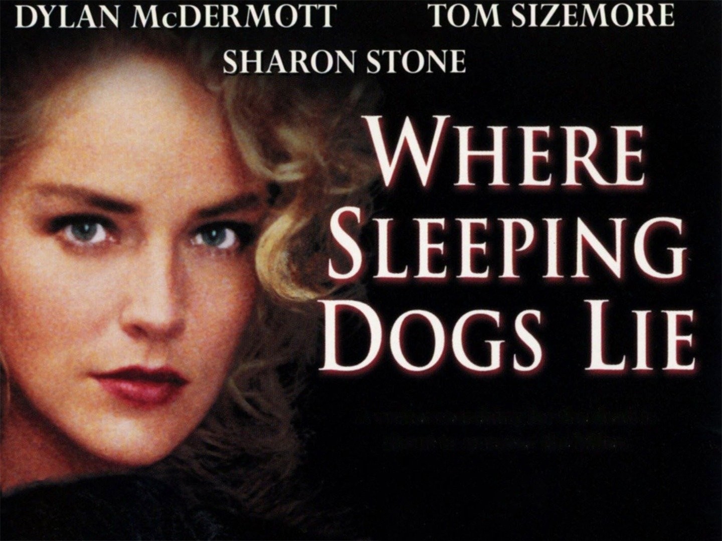 Sleeping Dog – Review, Netflix Crime Series