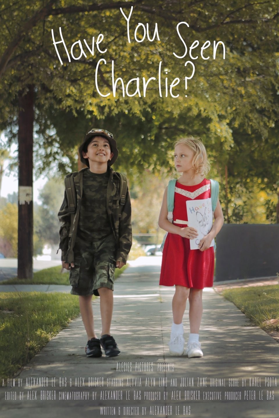 Have You Seen Charlie | Rotten Tomatoes