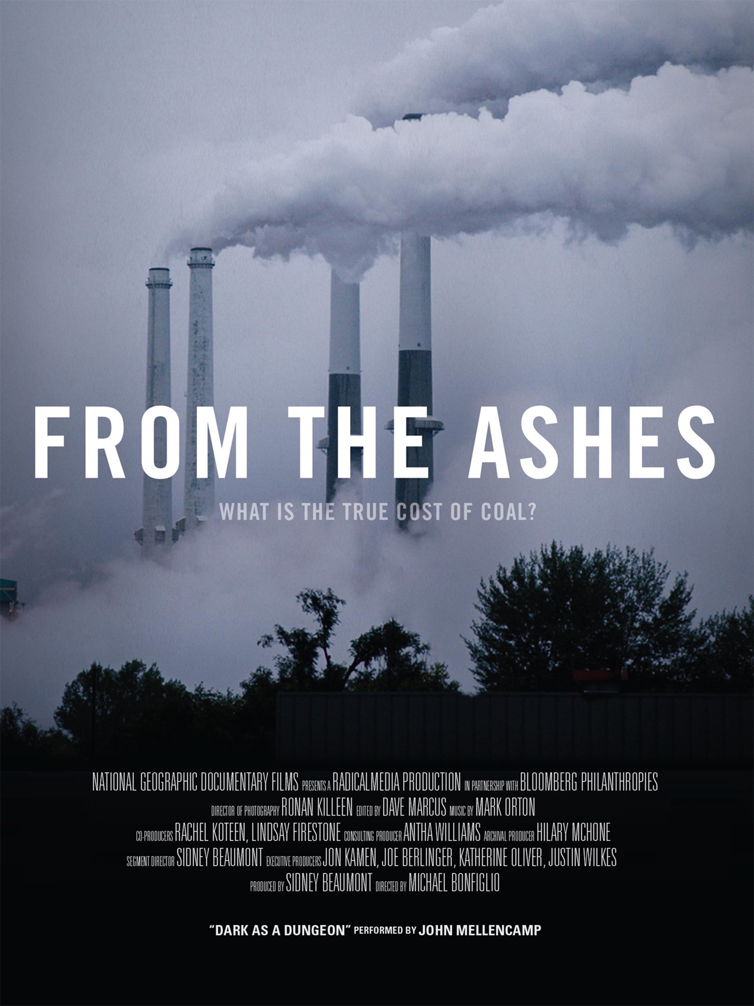 Into the Ashes - Rotten Tomatoes