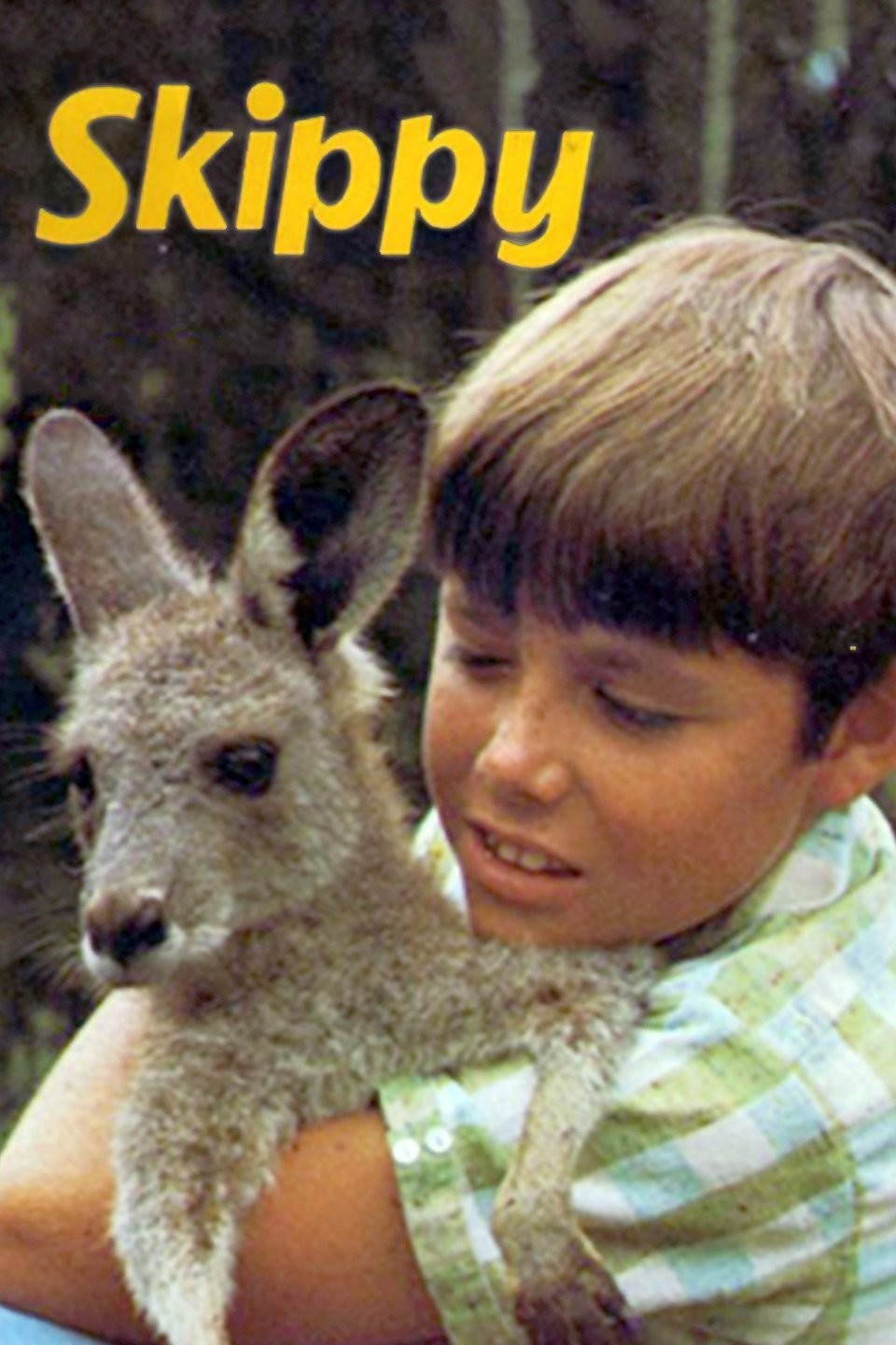 skippy-rotten-tomatoes