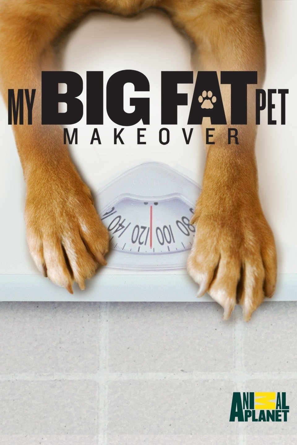 My Big Fat Pet Makeover Season 1 Rotten Tomatoes