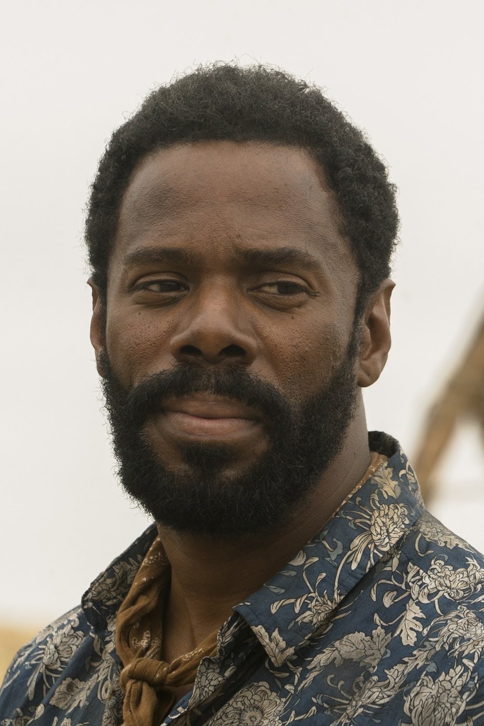 This Land is Your Land Pictures Rotten Tomatoes