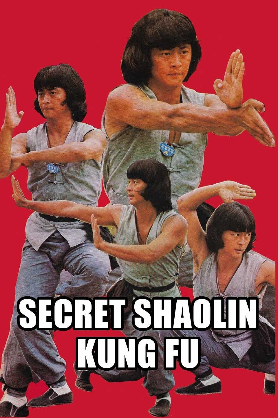 Secret of Shaolin Kung Fu | Rotten Tomatoes