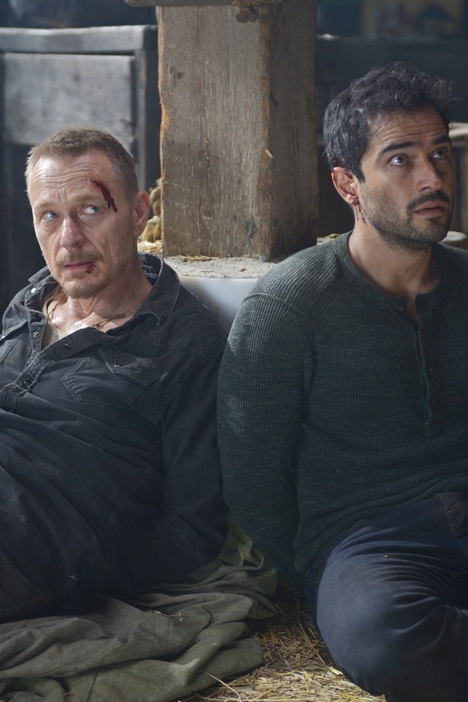 Safe as Houses Pictures Rotten Tomatoes