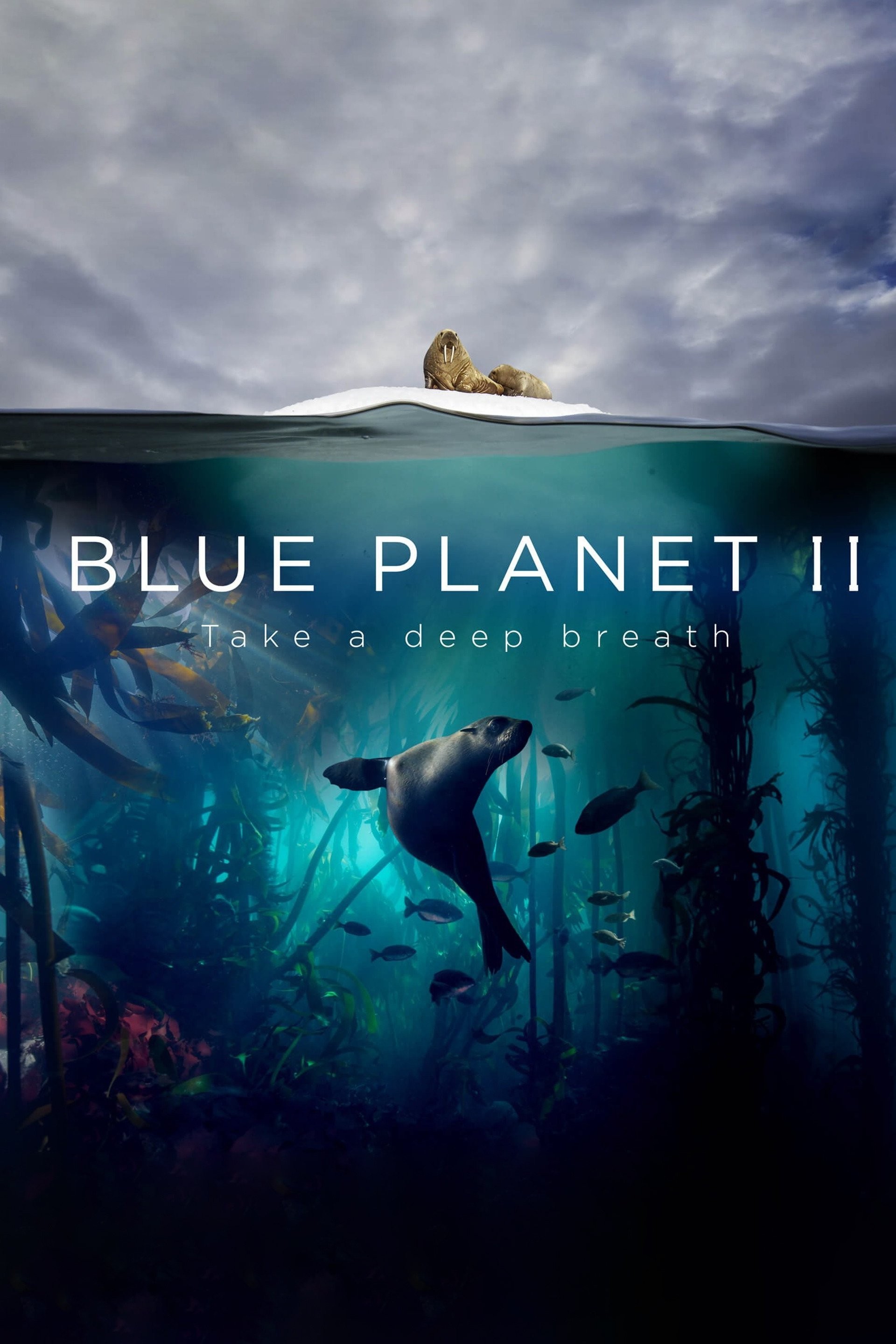 Blue Planet II: Miniseries | Rotten Tomatoes