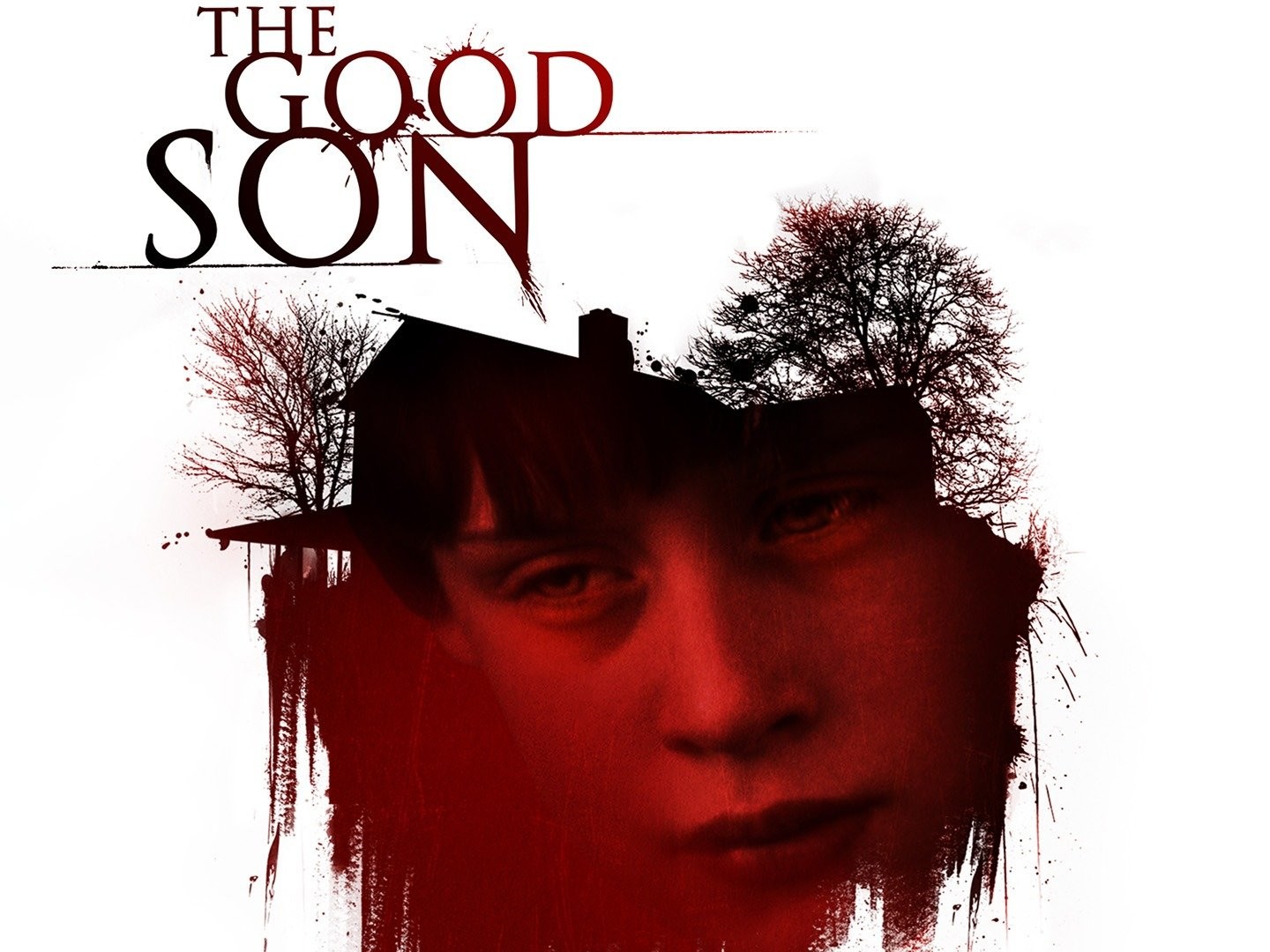 The Good Son (film) - Wikipedia