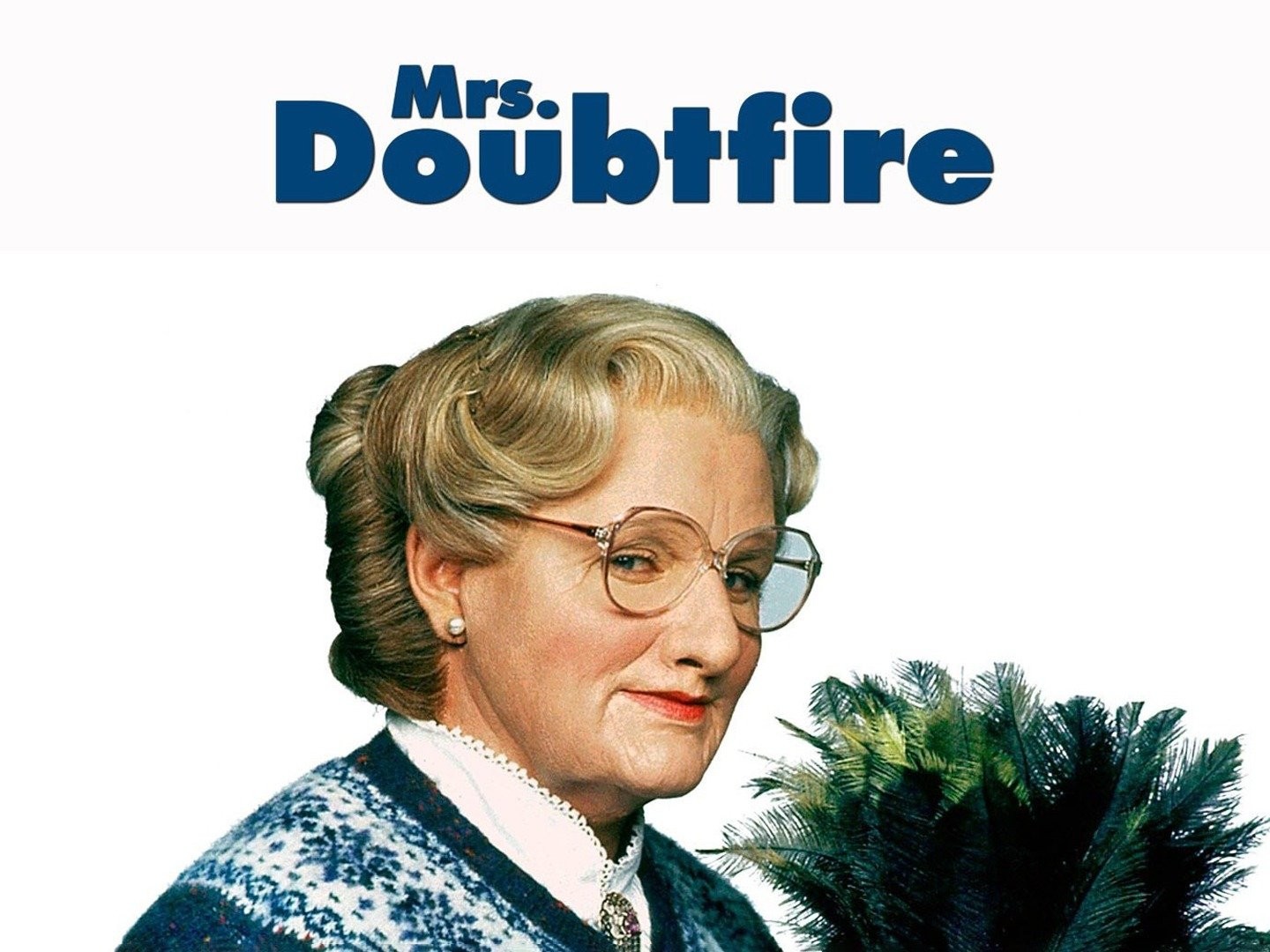 Mrs. Doubtfire Non-animated family movies