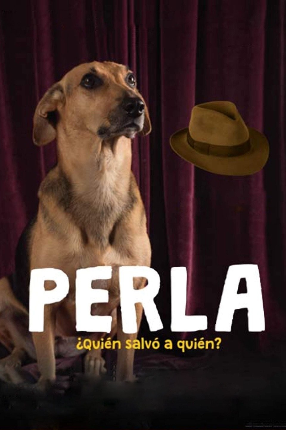 Perla Rotten Tomatoes
