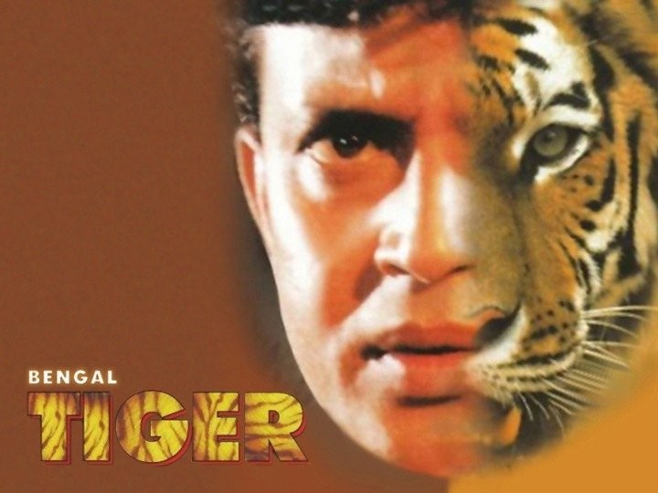 Bengal Tiger (2001) - IMDb