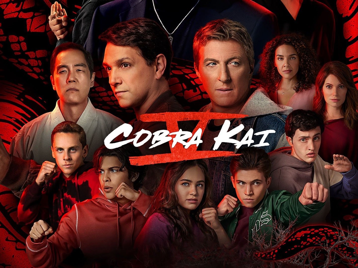 Cobra Kai Season 5 Sweeps the Leg of Doubt Ahead of Season 4