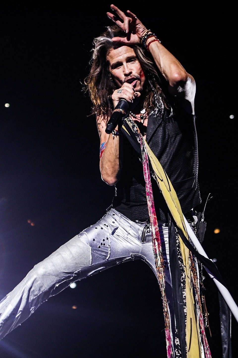 Steven Tyler: Out on a Limb - Rotten Tomatoes