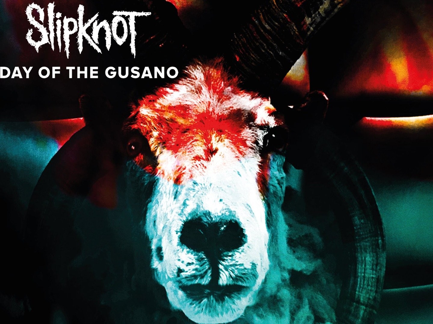 Day Of The Gusano-