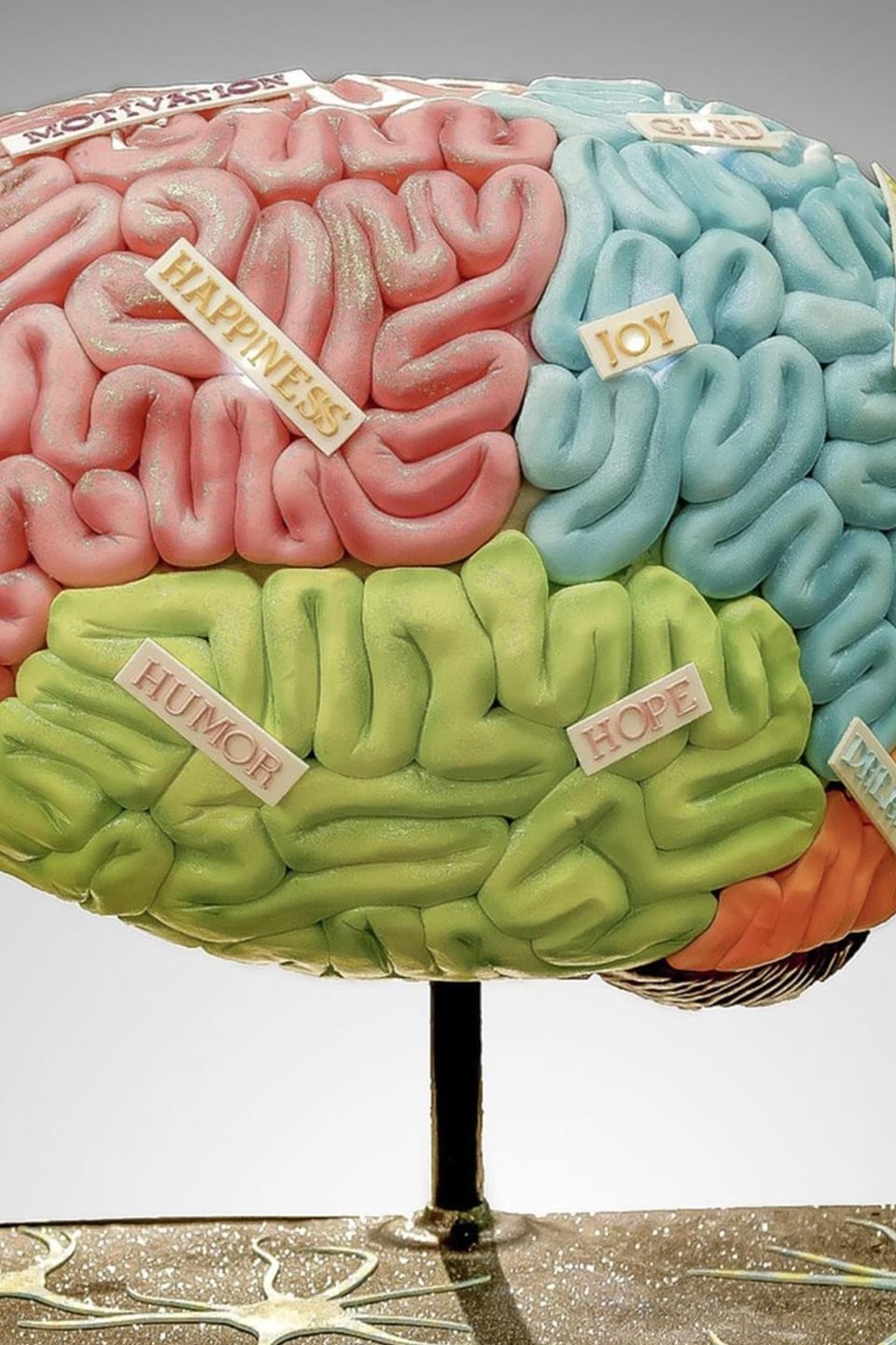Giant Brain, Mayan Pyramid and Beauty Queen Cakes Pictures - Rotten ...