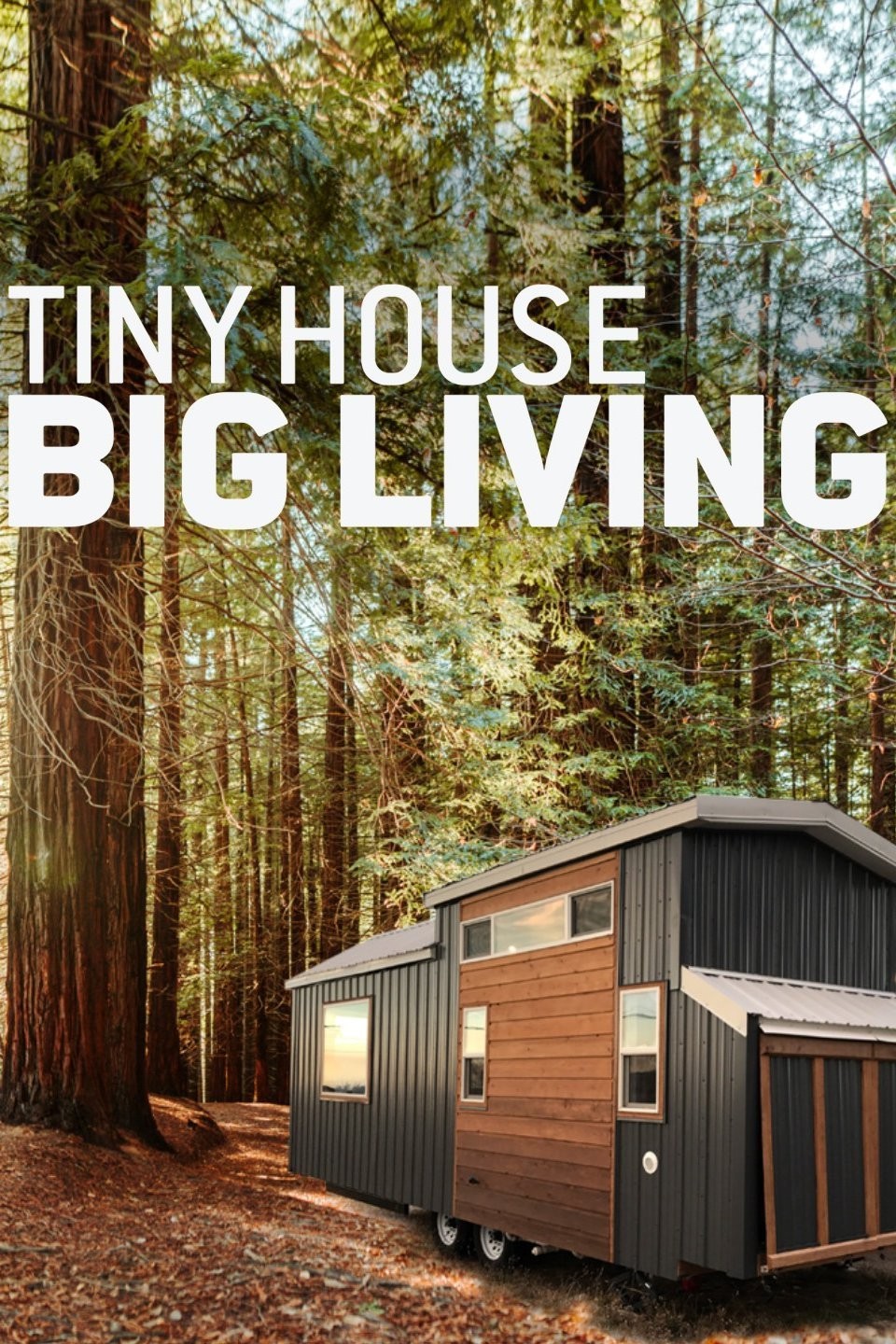 Tiny House, Big Living