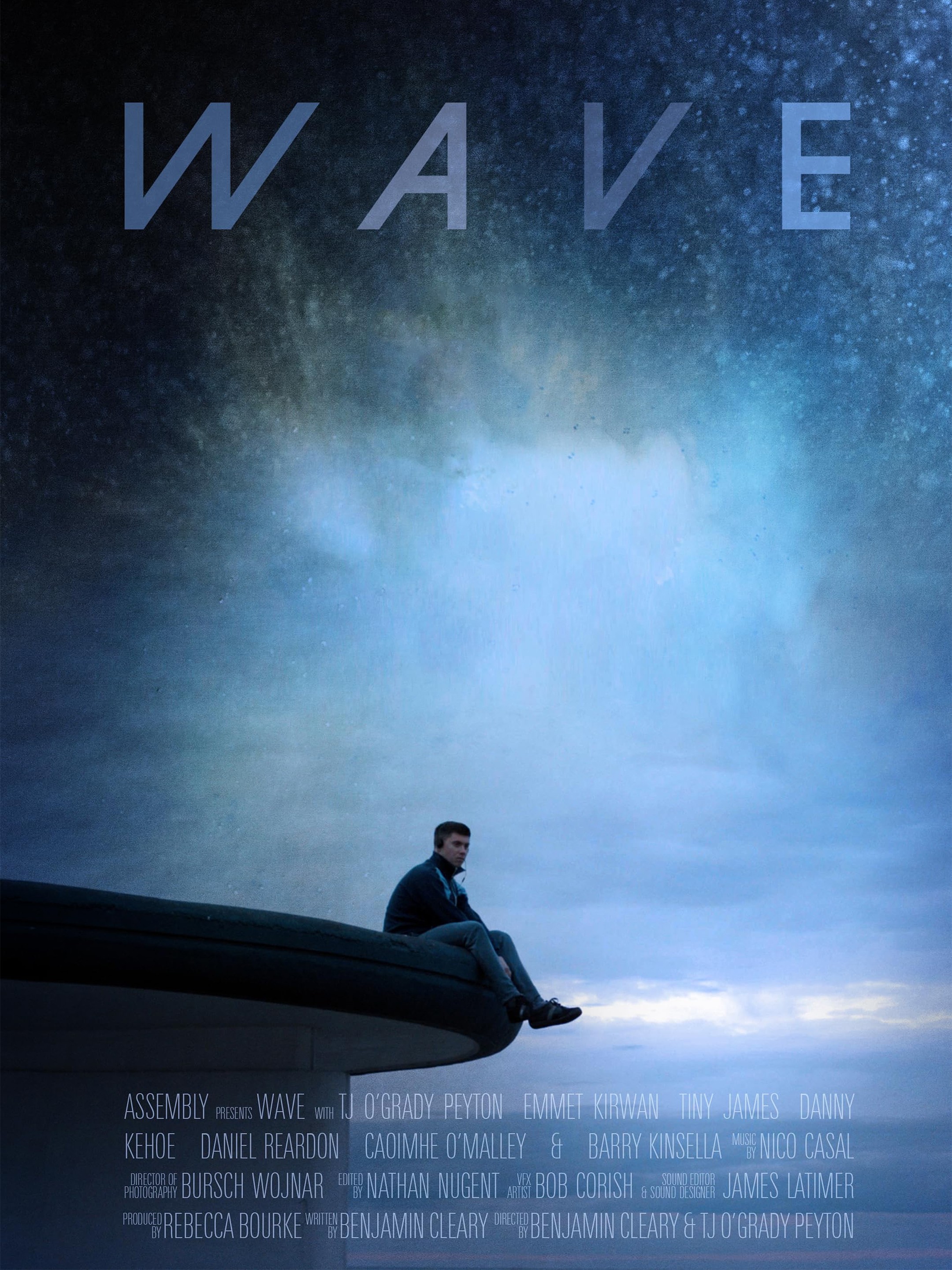 Wave Pictures Rotten Tomatoes
