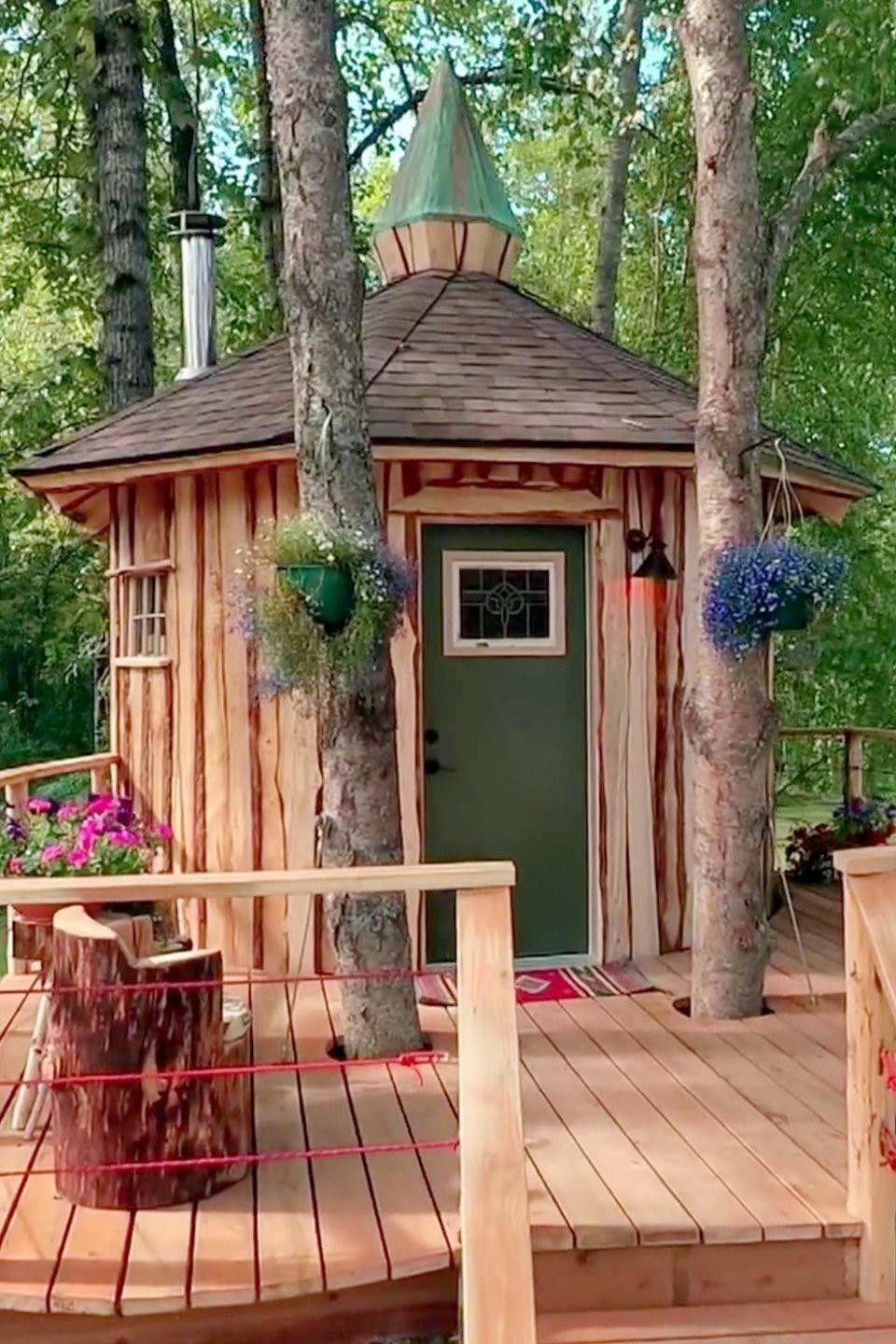 The Alaskan Treetop Sauna Pictures | Rotten Tomatoes