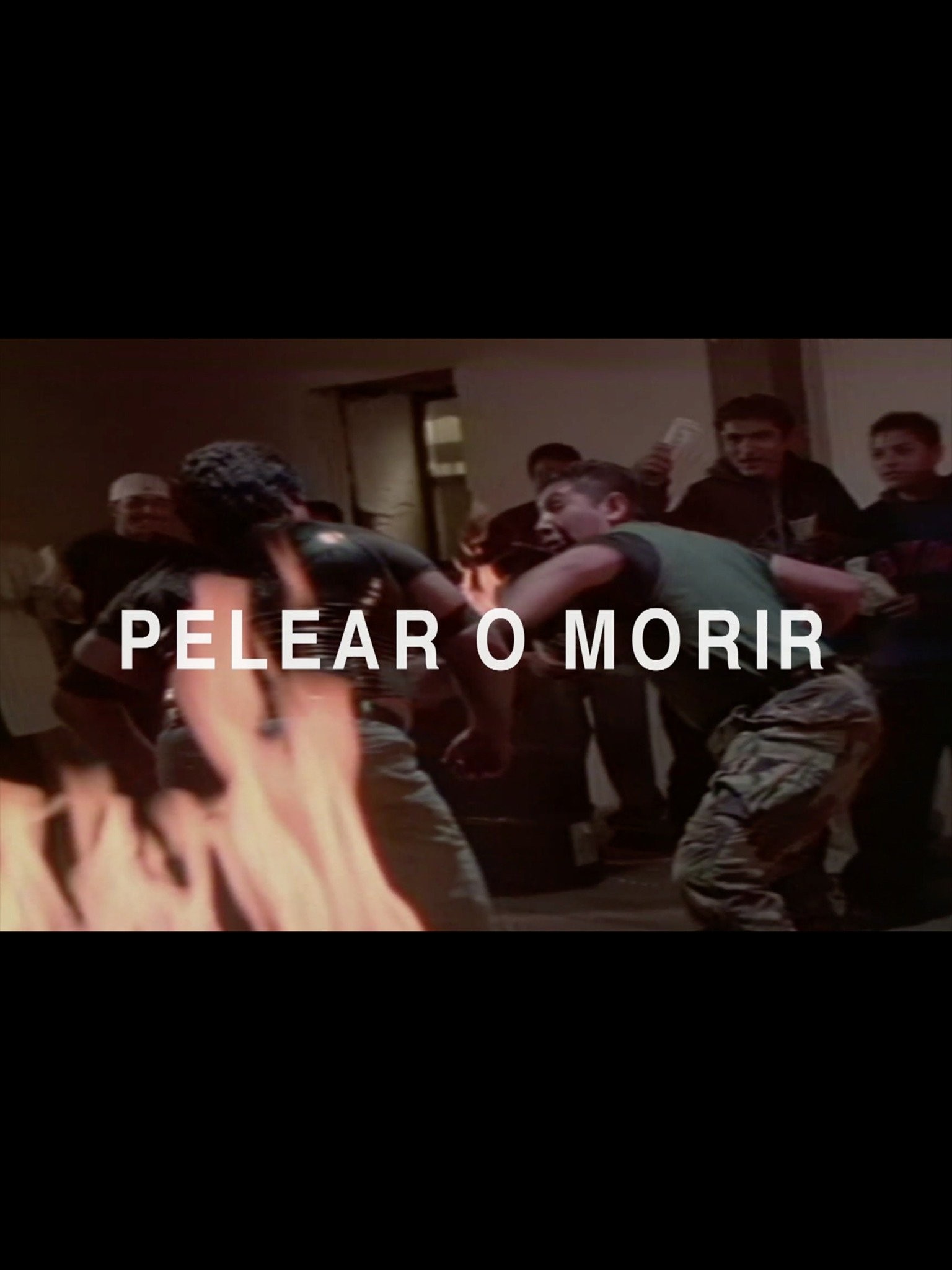 Pelear o morir Pictures | Rotten Tomatoes