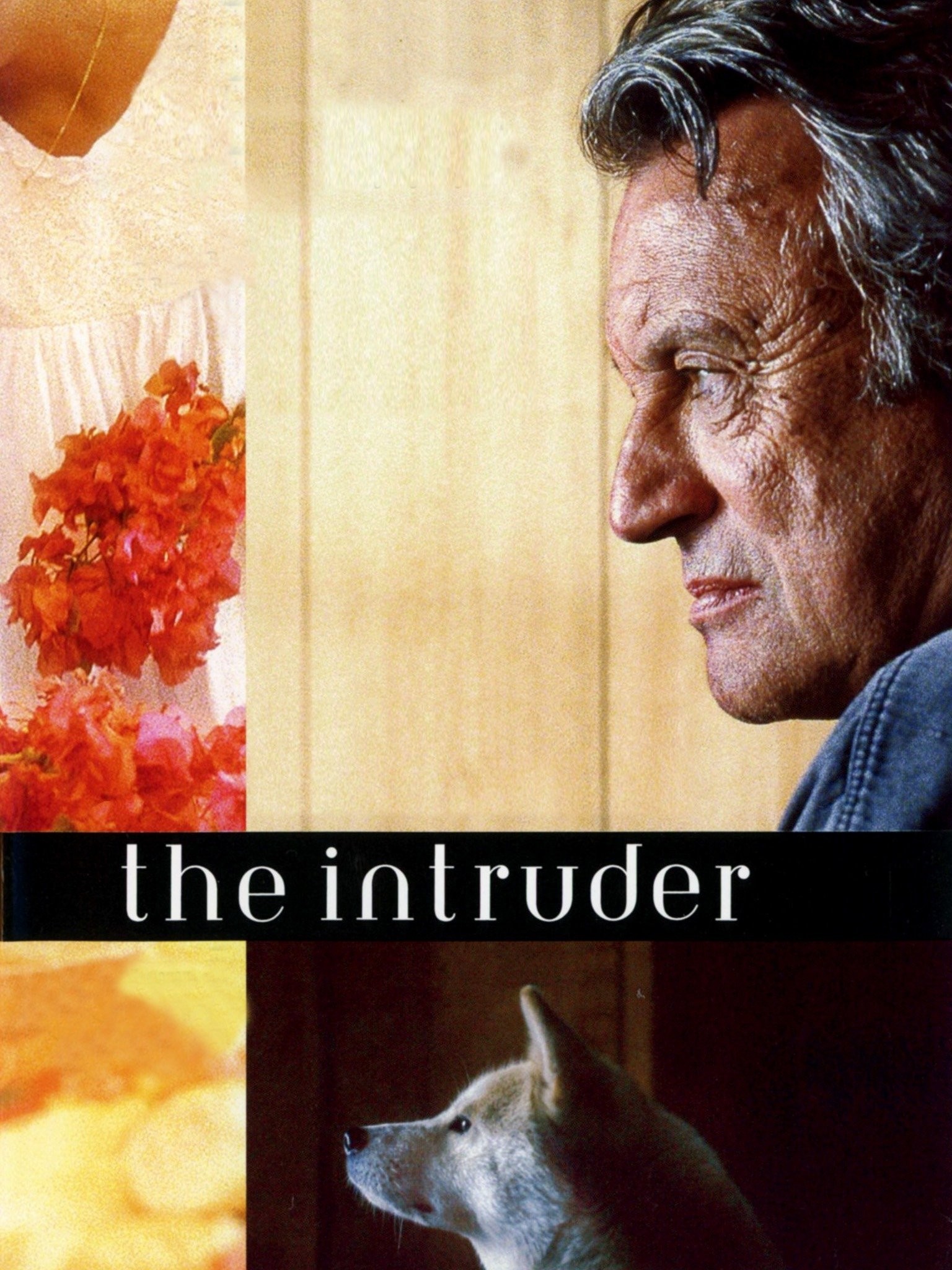 The Intruder streaming: where to watch movie online?