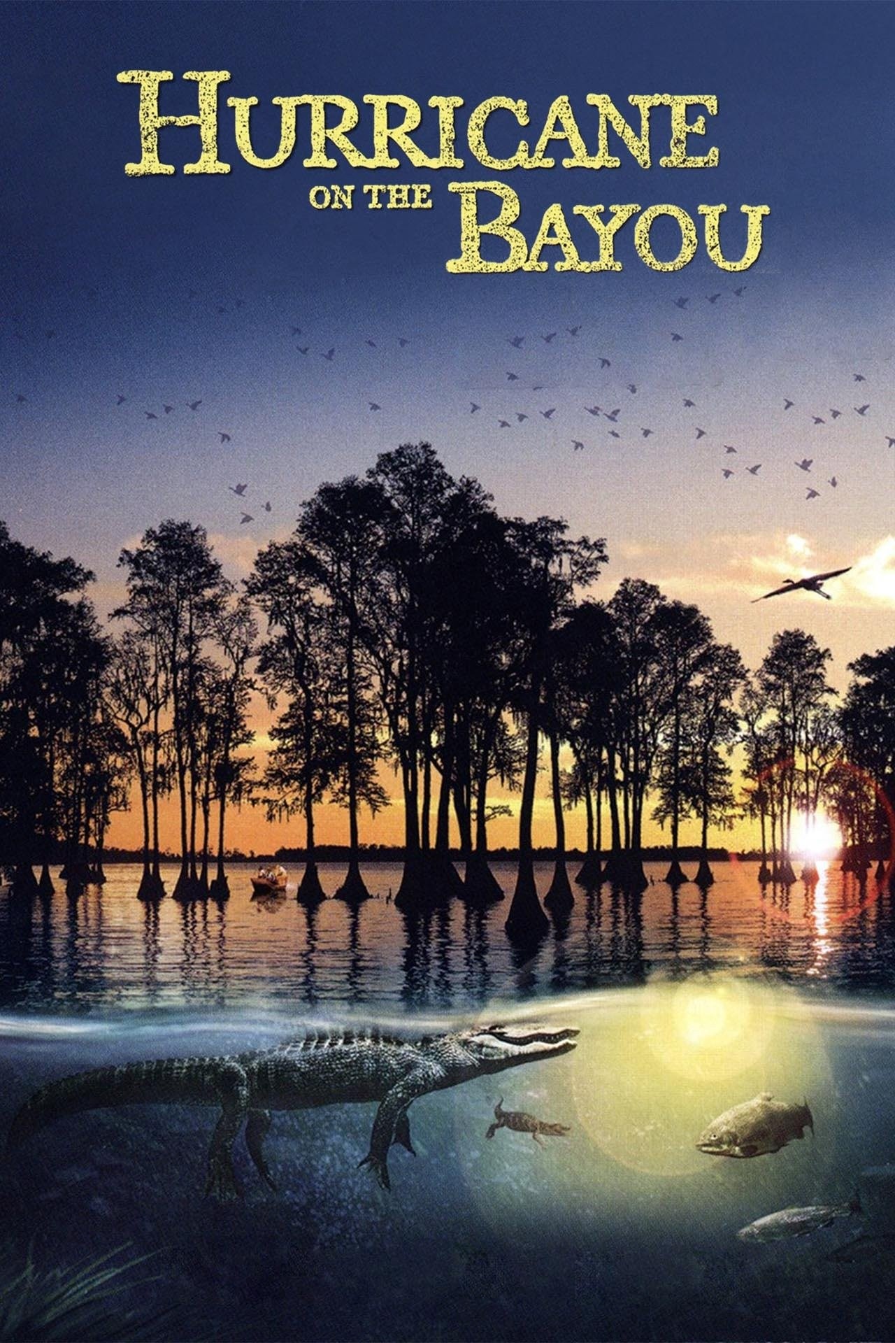 その他 Hurricane on the Bayou [DVD] Amazon.co.jp: Hurricane On The Bayou [DVD] : Meryl Streep, Greg