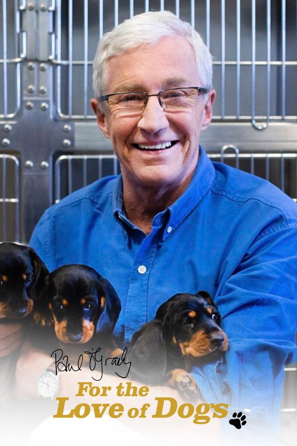 Paul O'Grady: For the Love of Dogs Season 7 | Rotten Tomatoes