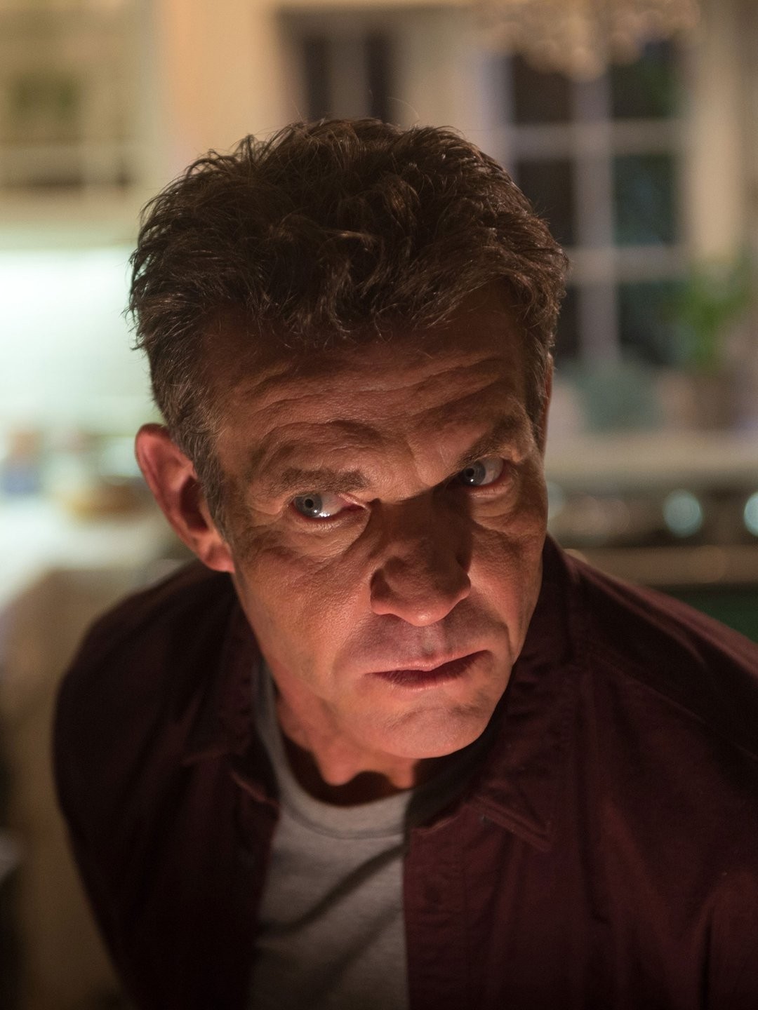  The Intruder : Dennis Quaid, Michael Ealy, Meagan Good, Joseph  Sikora, Deon Taylor, Deon Taylor, Jonathan Schwartz, Mark Burg, Roxanne  Avent, Brad Kaplan, Screen Gems: Movies & TV