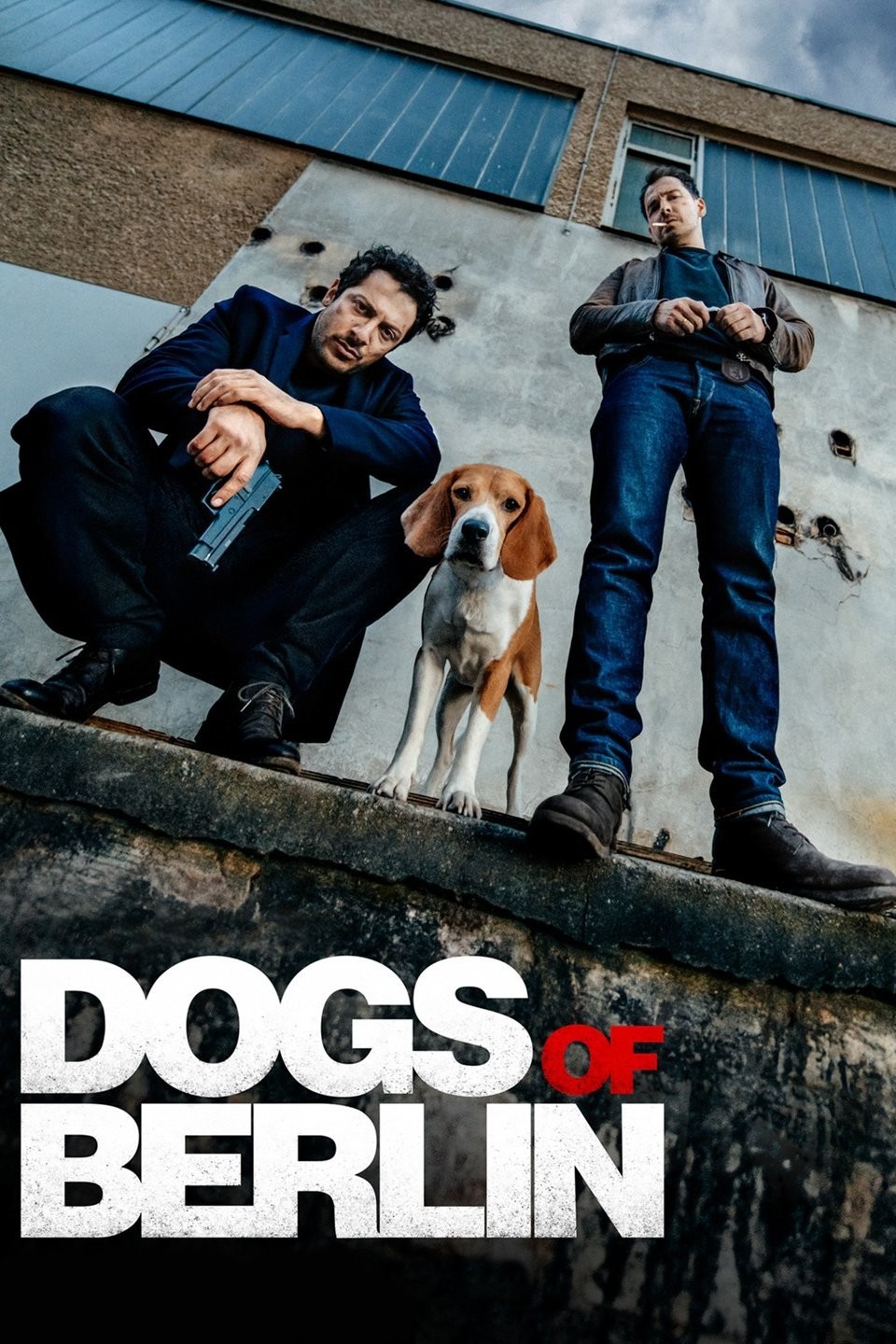 Dogs of Berlin Rotten Tomatoes