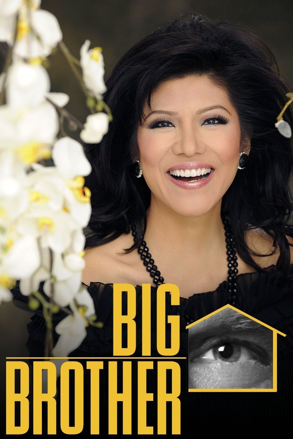 Big Brother: Season 11 | Rotten Tomatoes