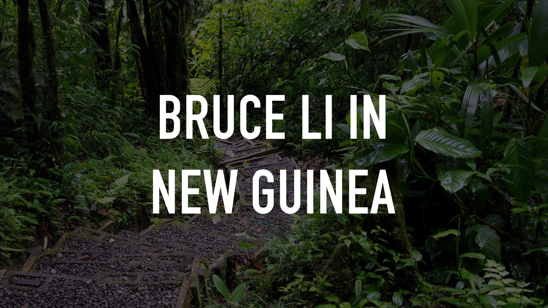 Bruce li in new hot sale guinea