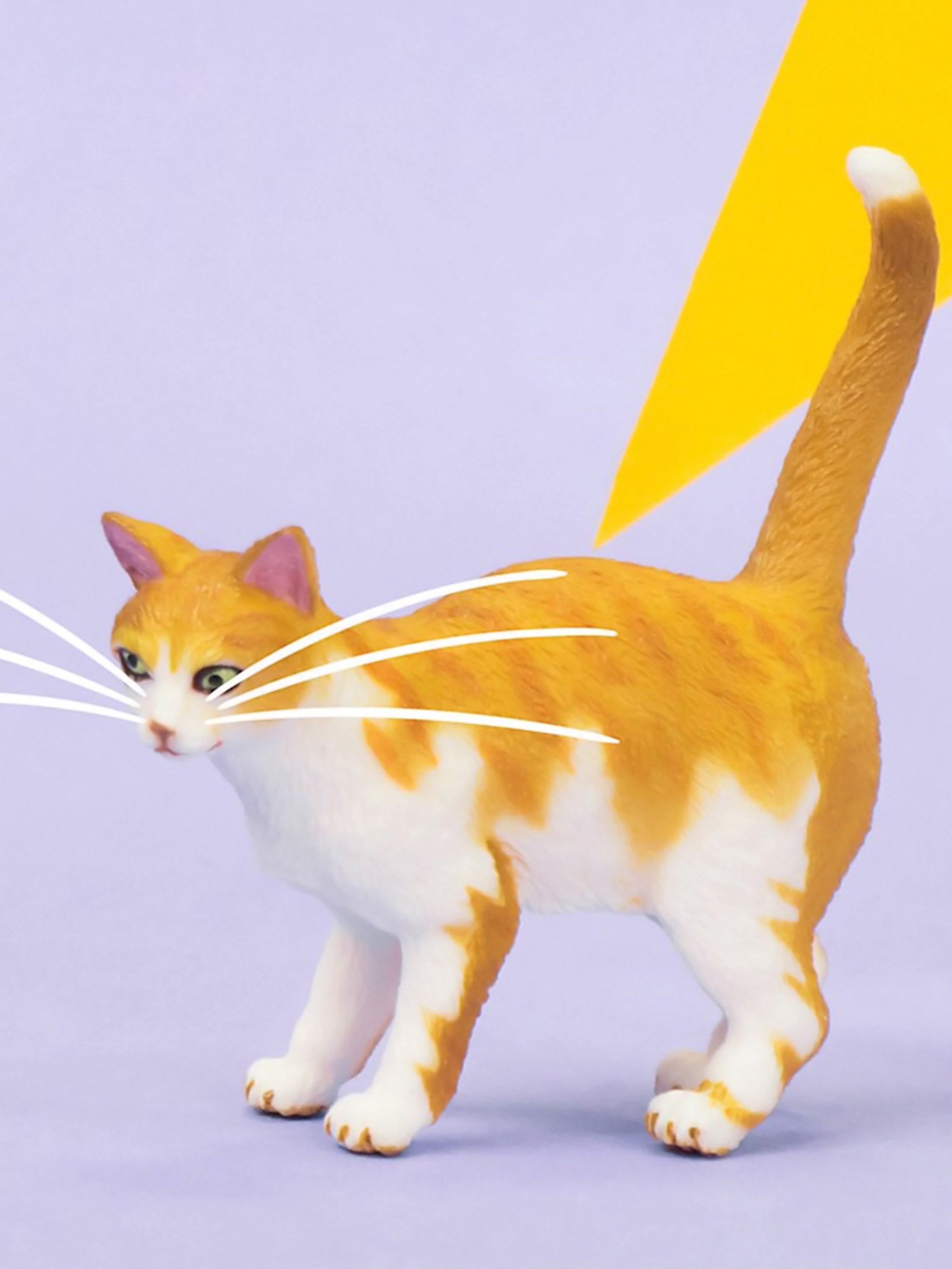 Cat Pictures Rotten Tomatoes