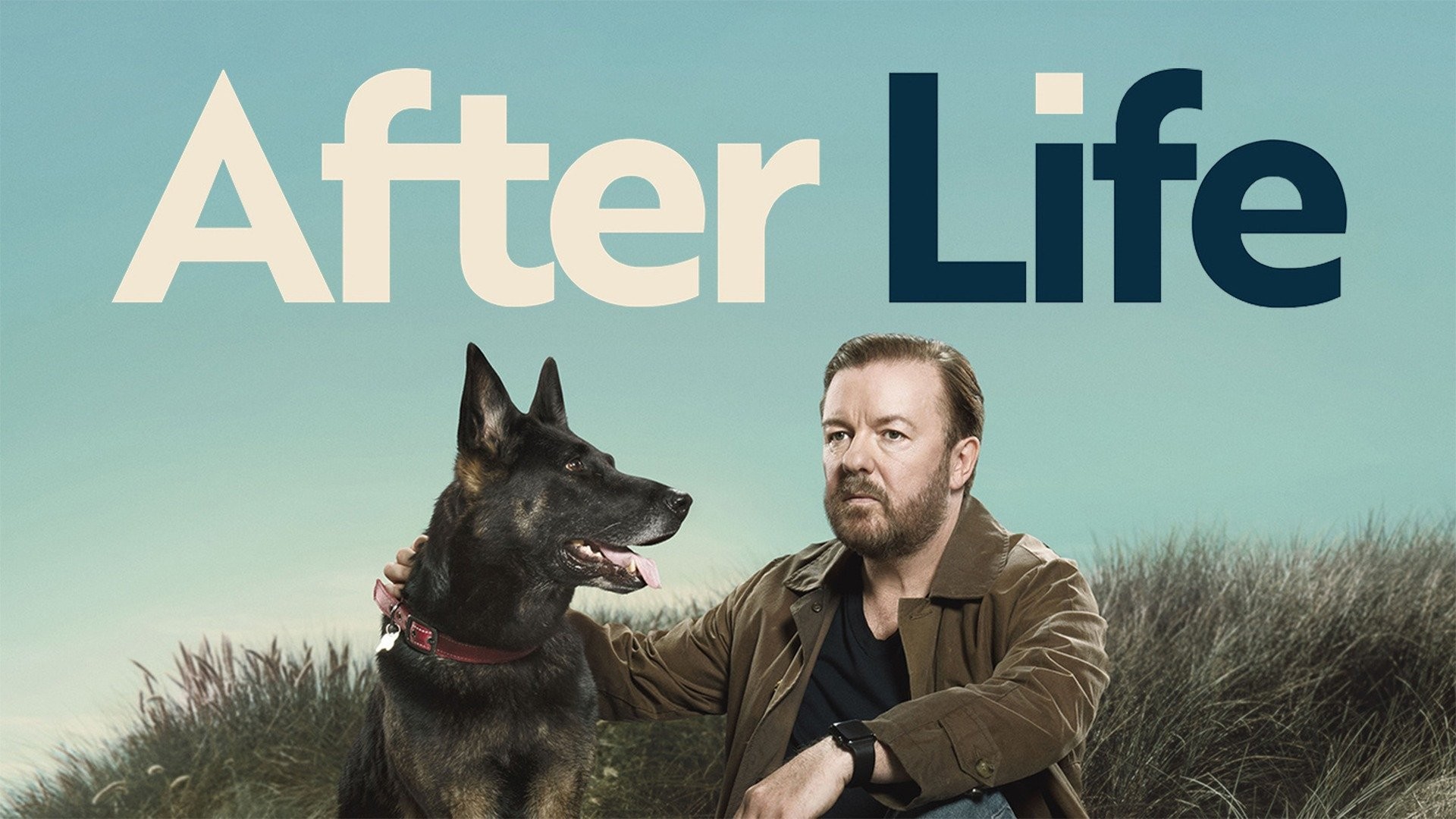 AFTER LIFE - Series One • Frame Rated