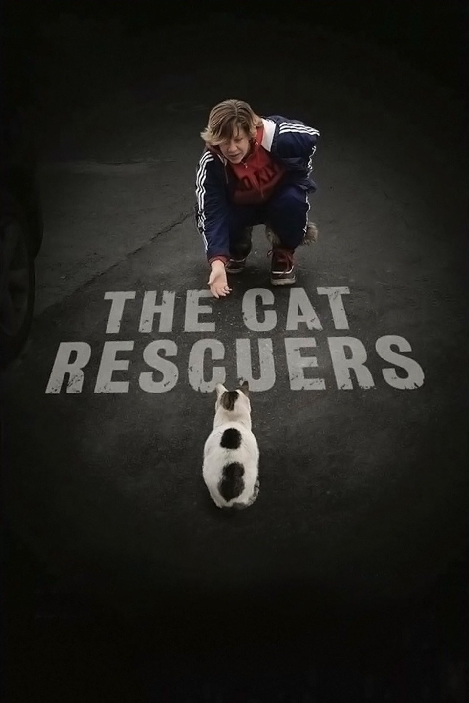 Kitten best sale rescuers netflix