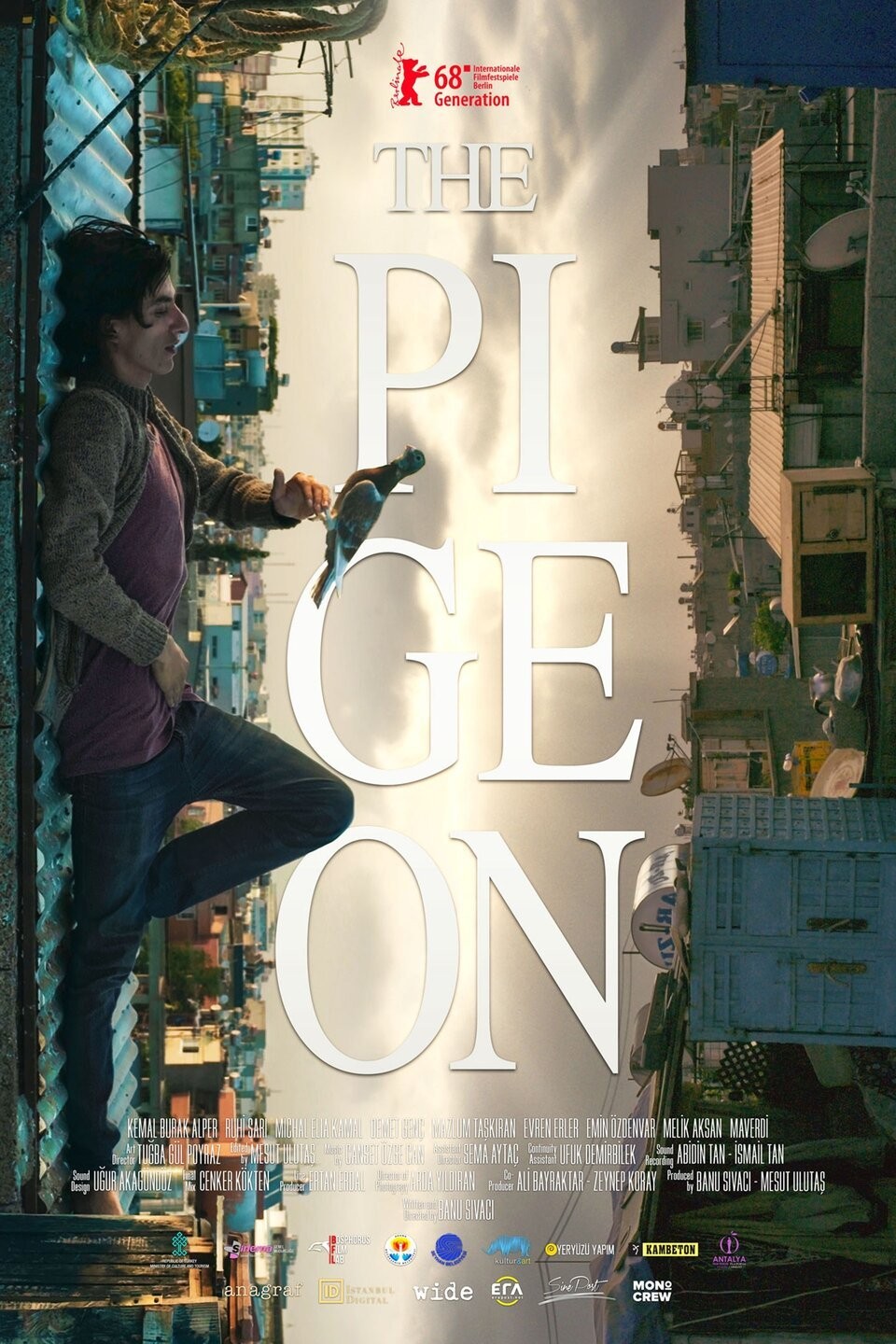 The Pigeon Rotten Tomatoes