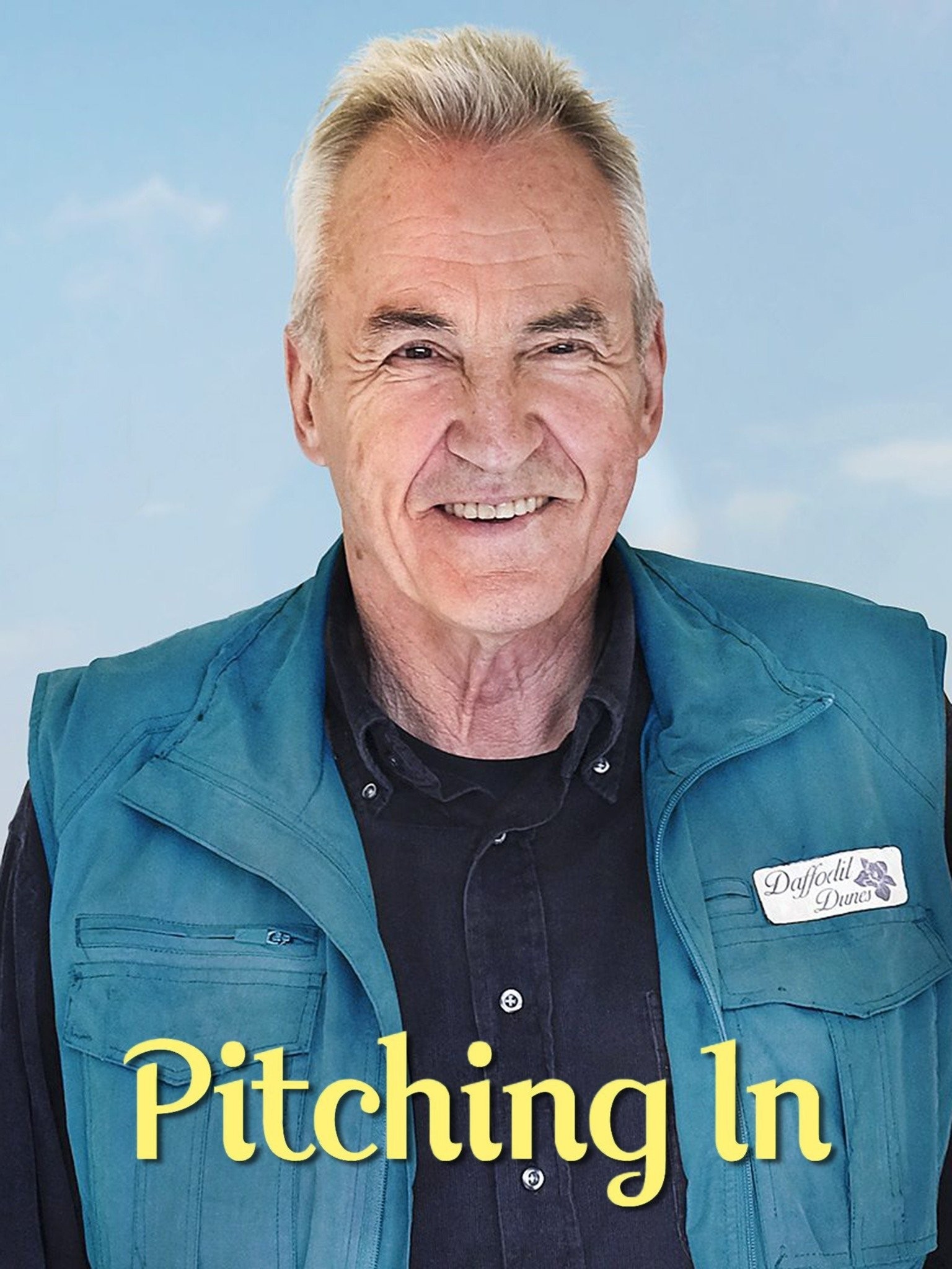 Pitching In Rotten Tomatoes