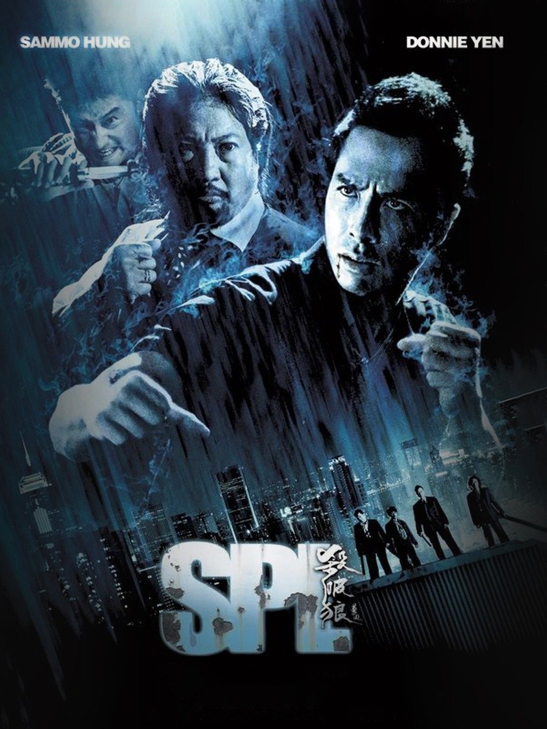  Kill Zone : Donnie Yen, Simon Yam, Sammo Hung, Jing Wu