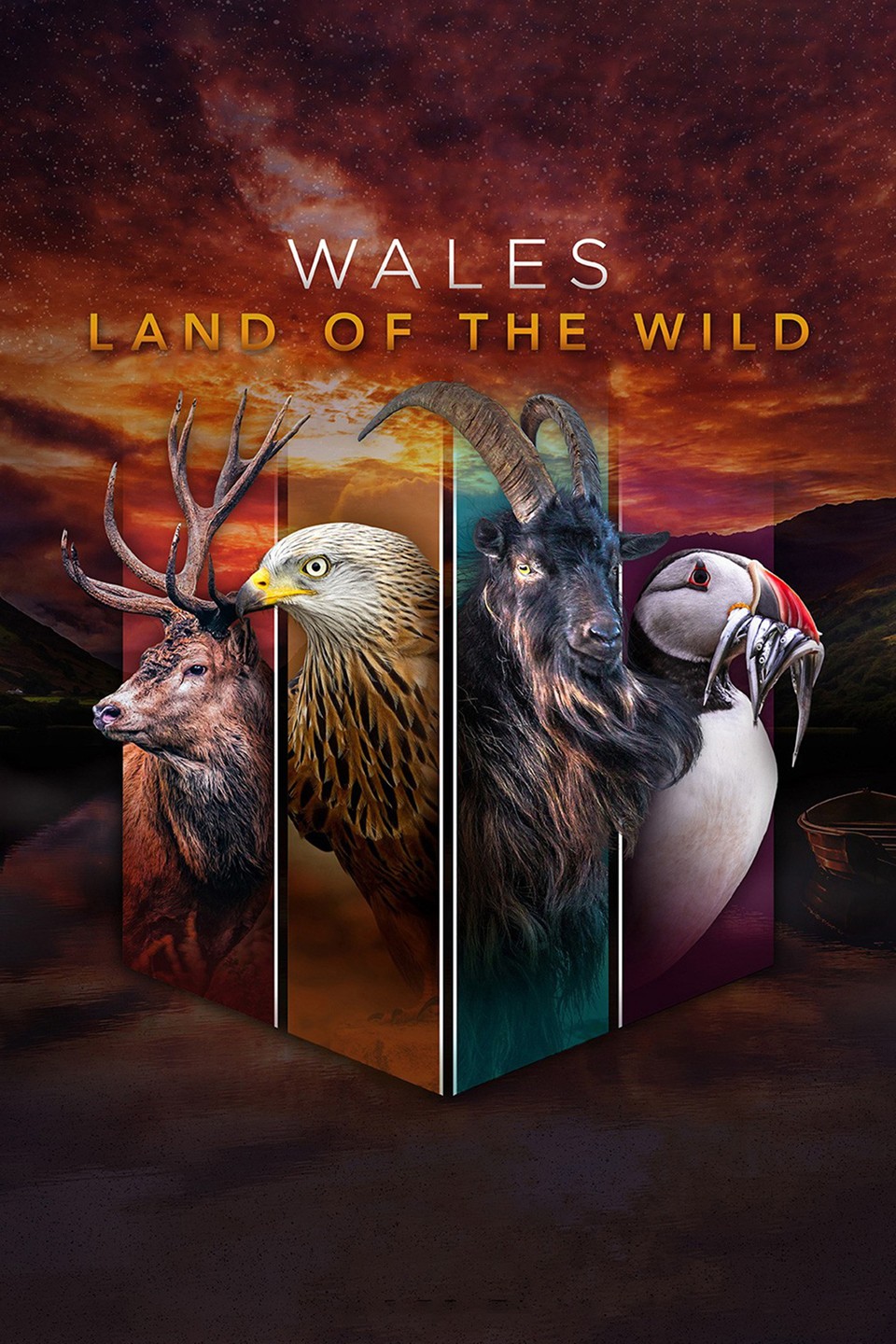Wales: Land of the Wild | Rotten Tomatoes 