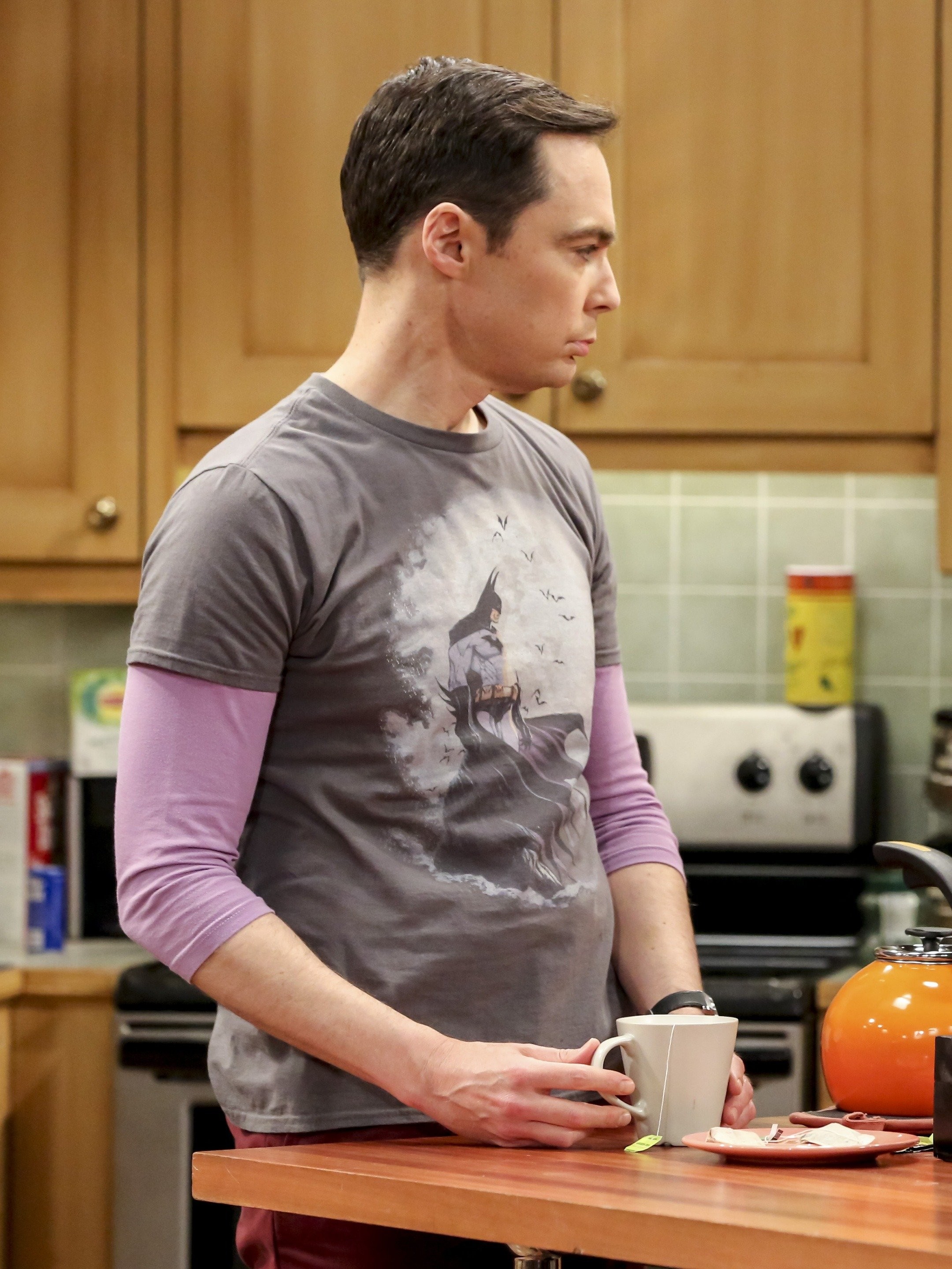 The big bang theory season hot sale 12 episode 22 online free