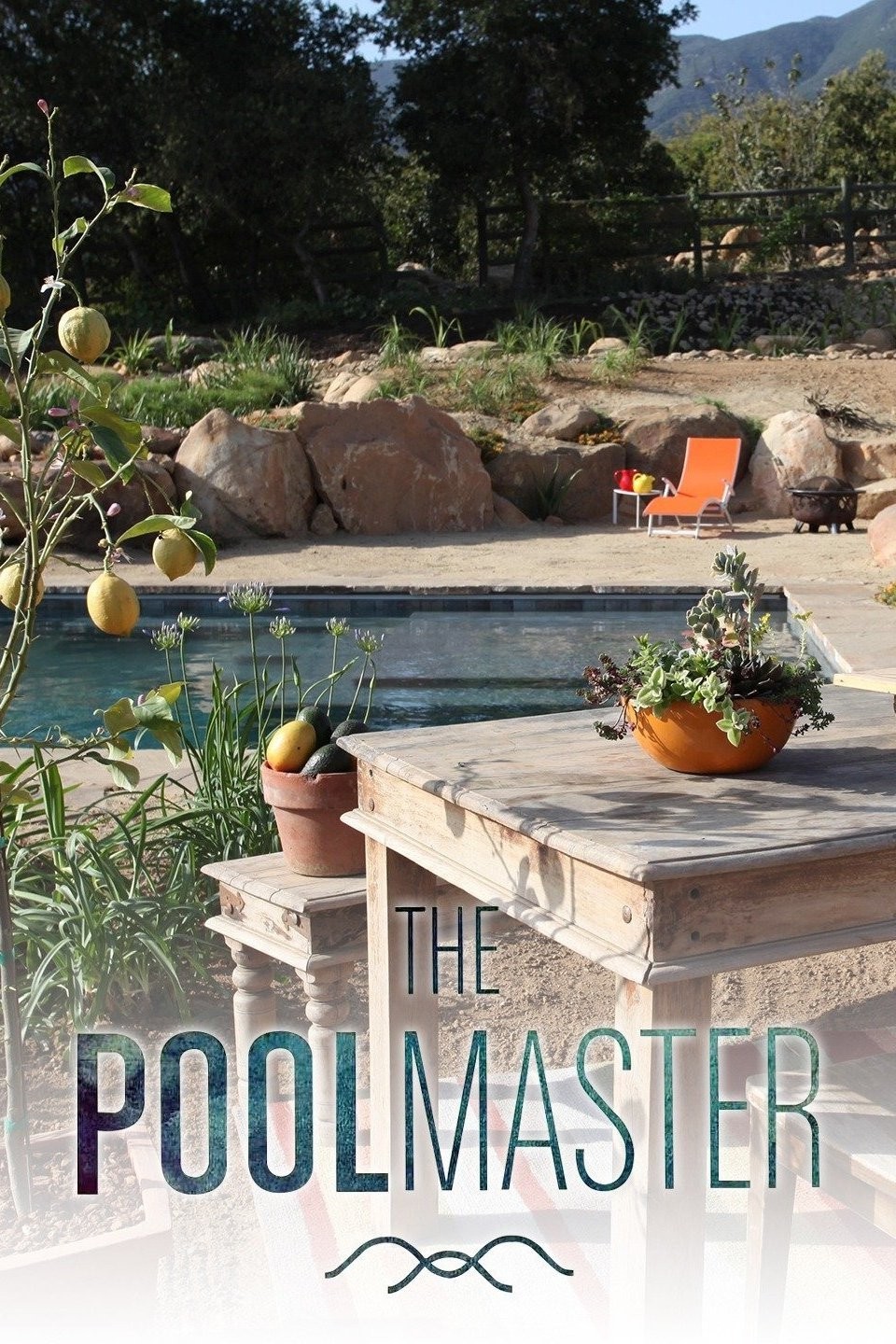 The Pool Master Season 2 Rotten Tomatoes
