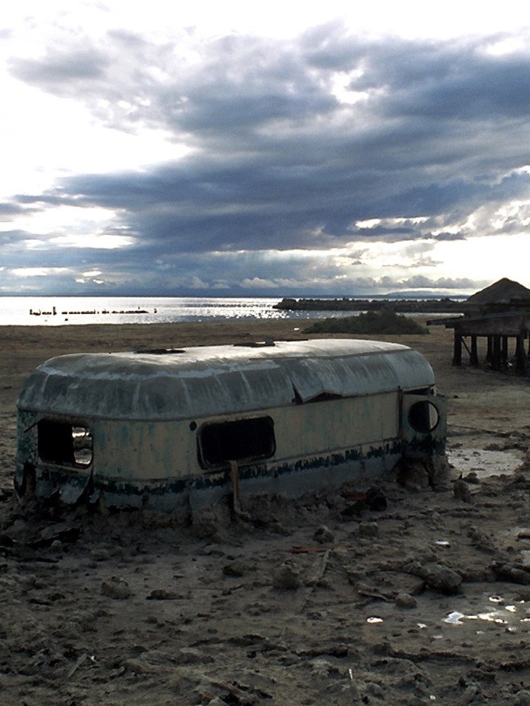 Plagues & Pleasures On The Salton Sea Online
