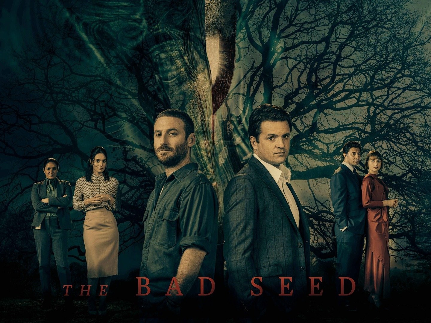 The Bad Seed filme - Veja onde assistir online