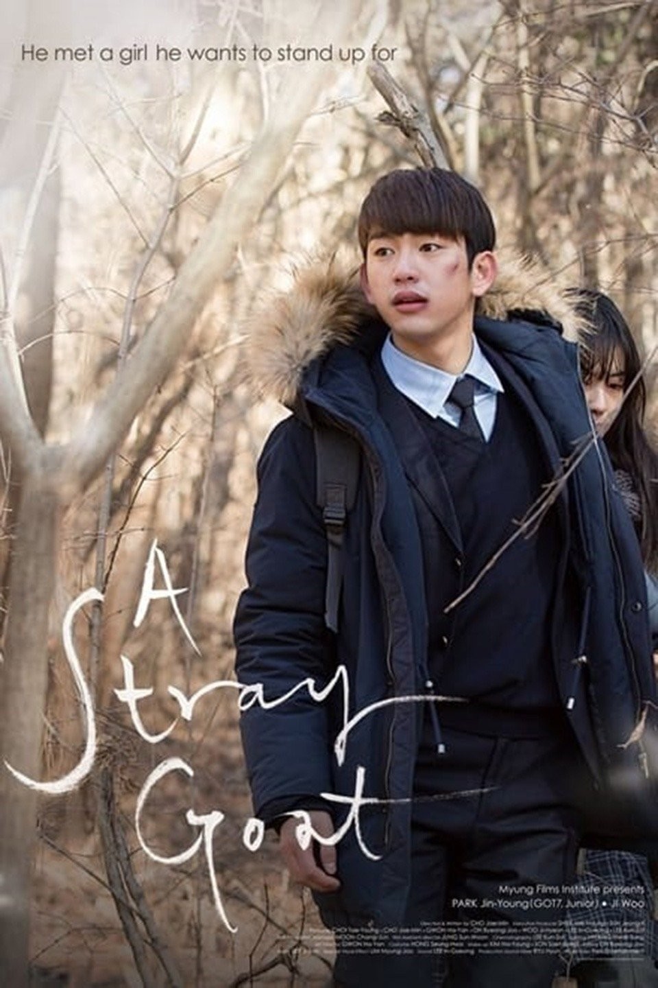 A Stray Goat Pictures | Rotten Tomatoes