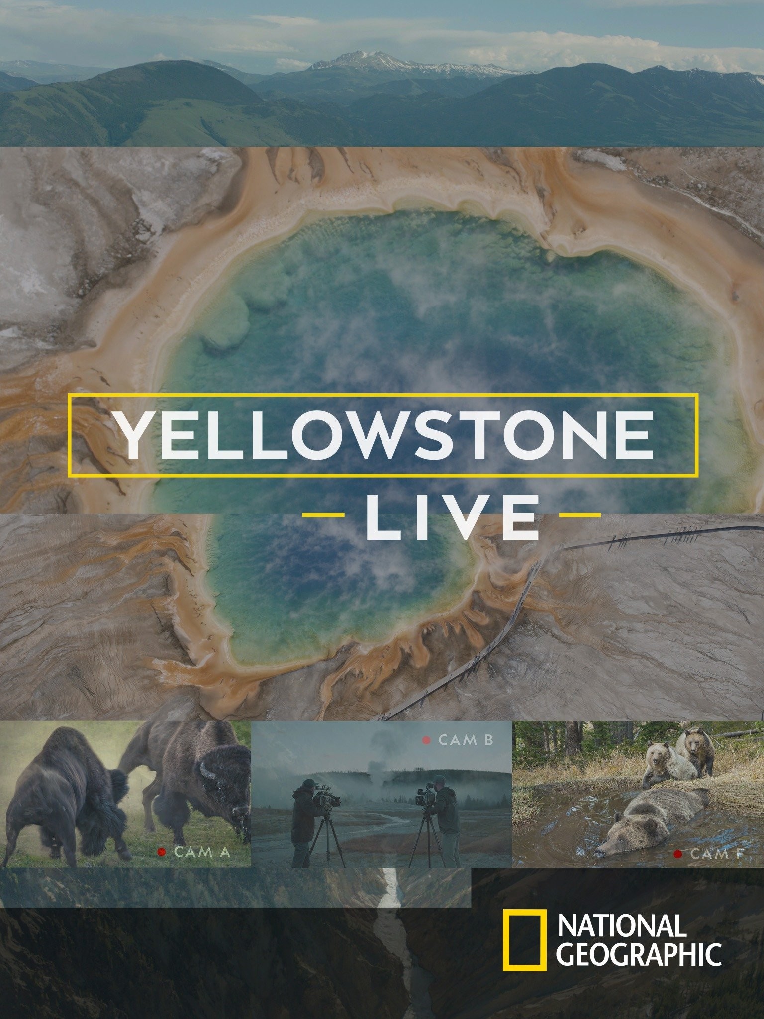 Yellowstone Live: Season 2 | Rotten Tomatoes