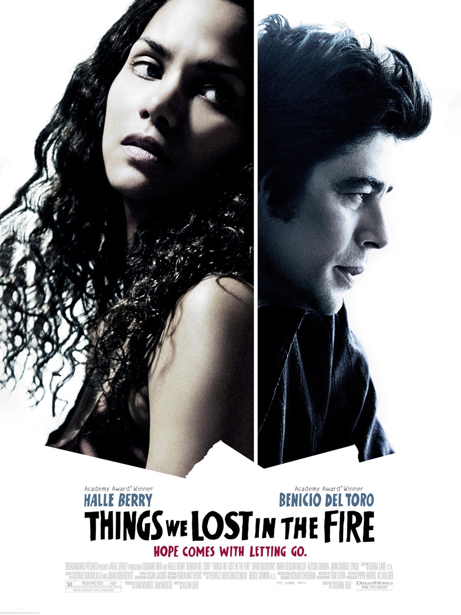 Things We Lost in the Fire | Rotten Tomatoes