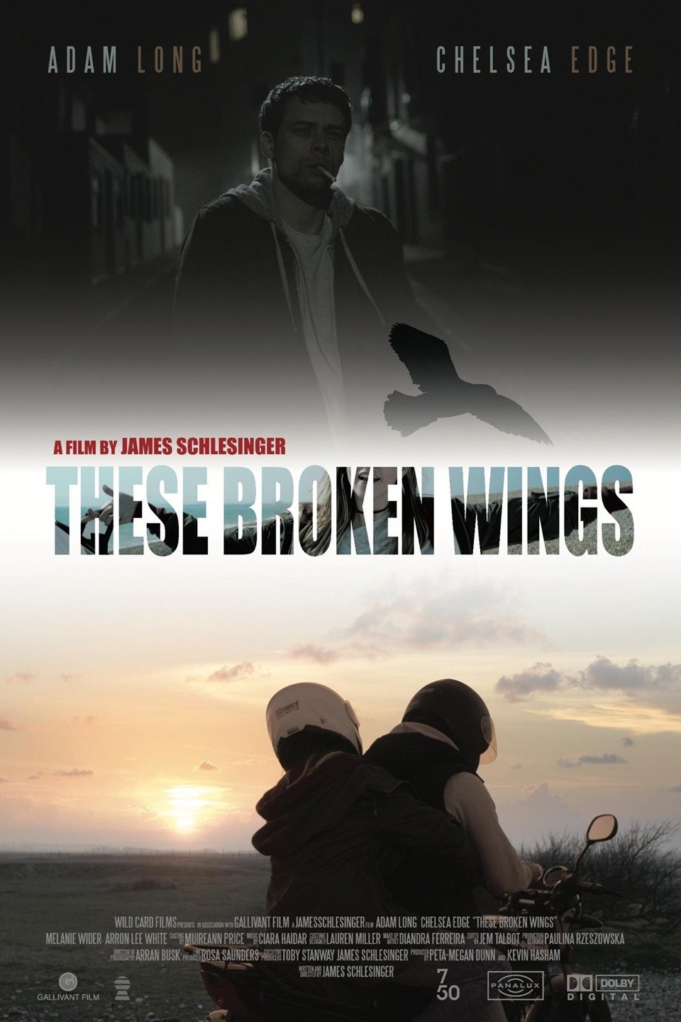 These Broken Wings Pictures | Rotten Tomatoes