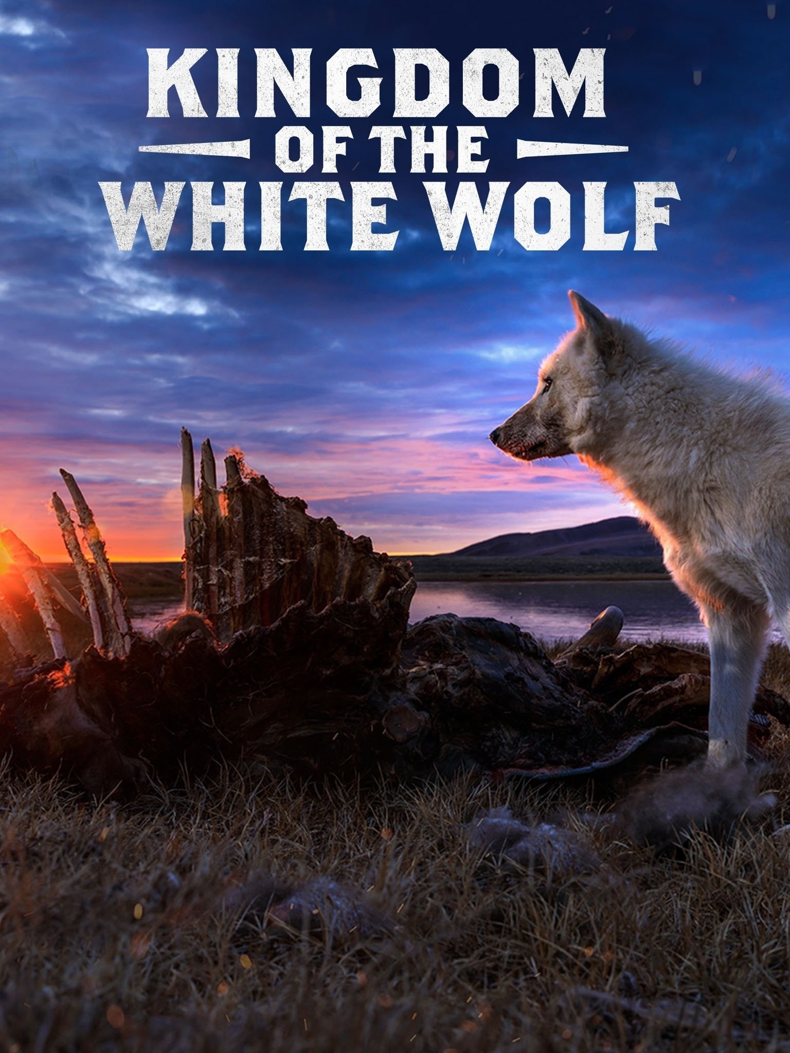 Kingdom of the White Wolf Season 1 | Rotten Tomatoes | Poster